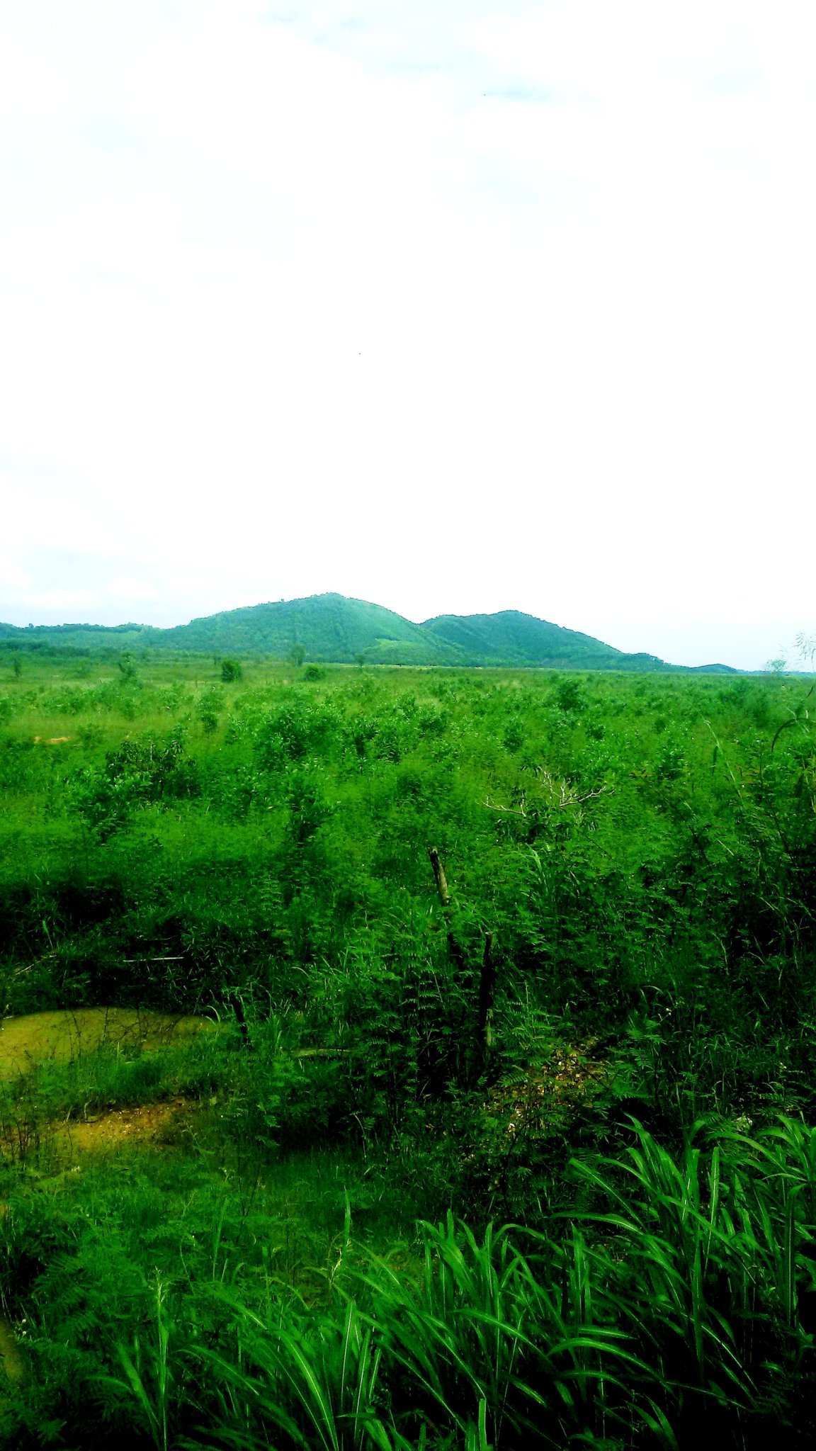20180915_212450.jpg