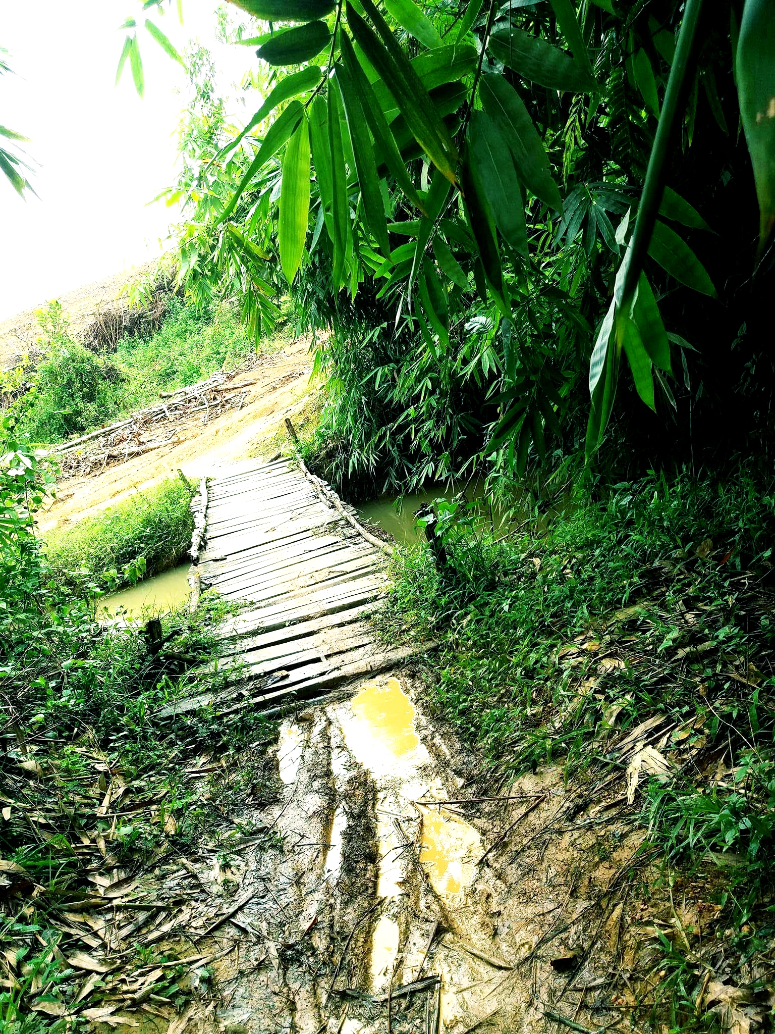 20180915_214451.jpg