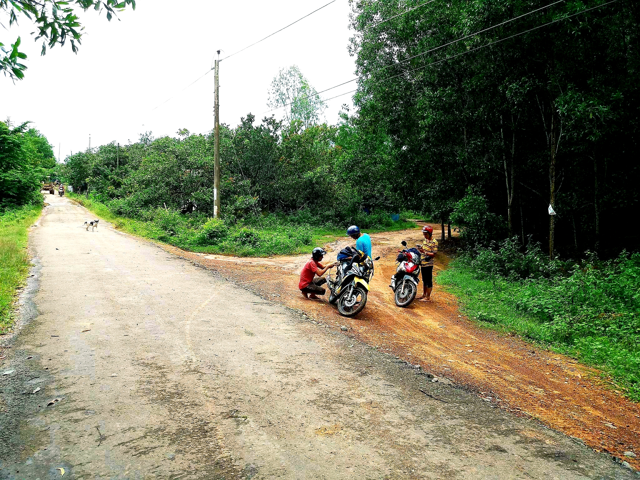 20180915_214906.jpg