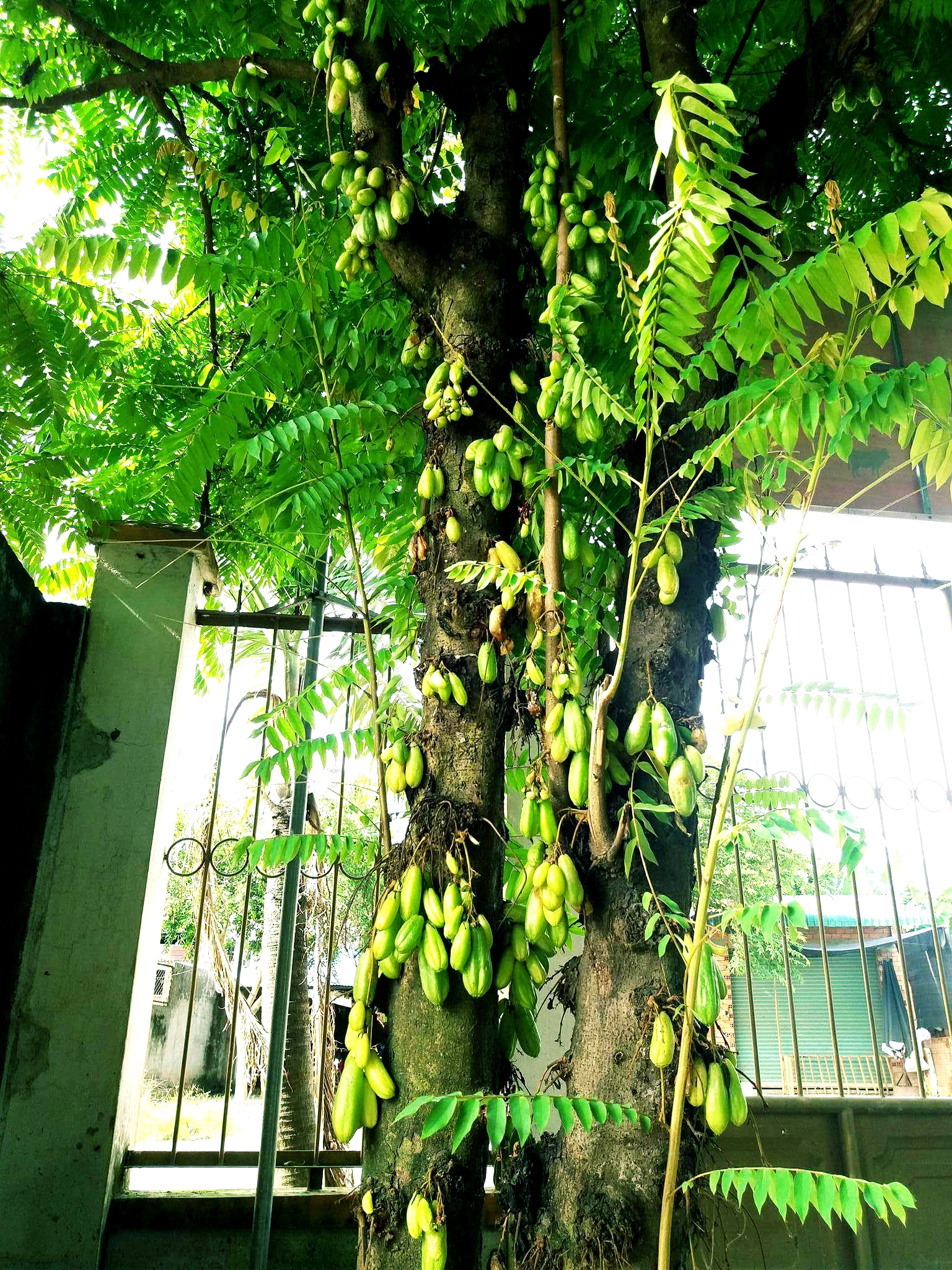 20180915_215009.jpg