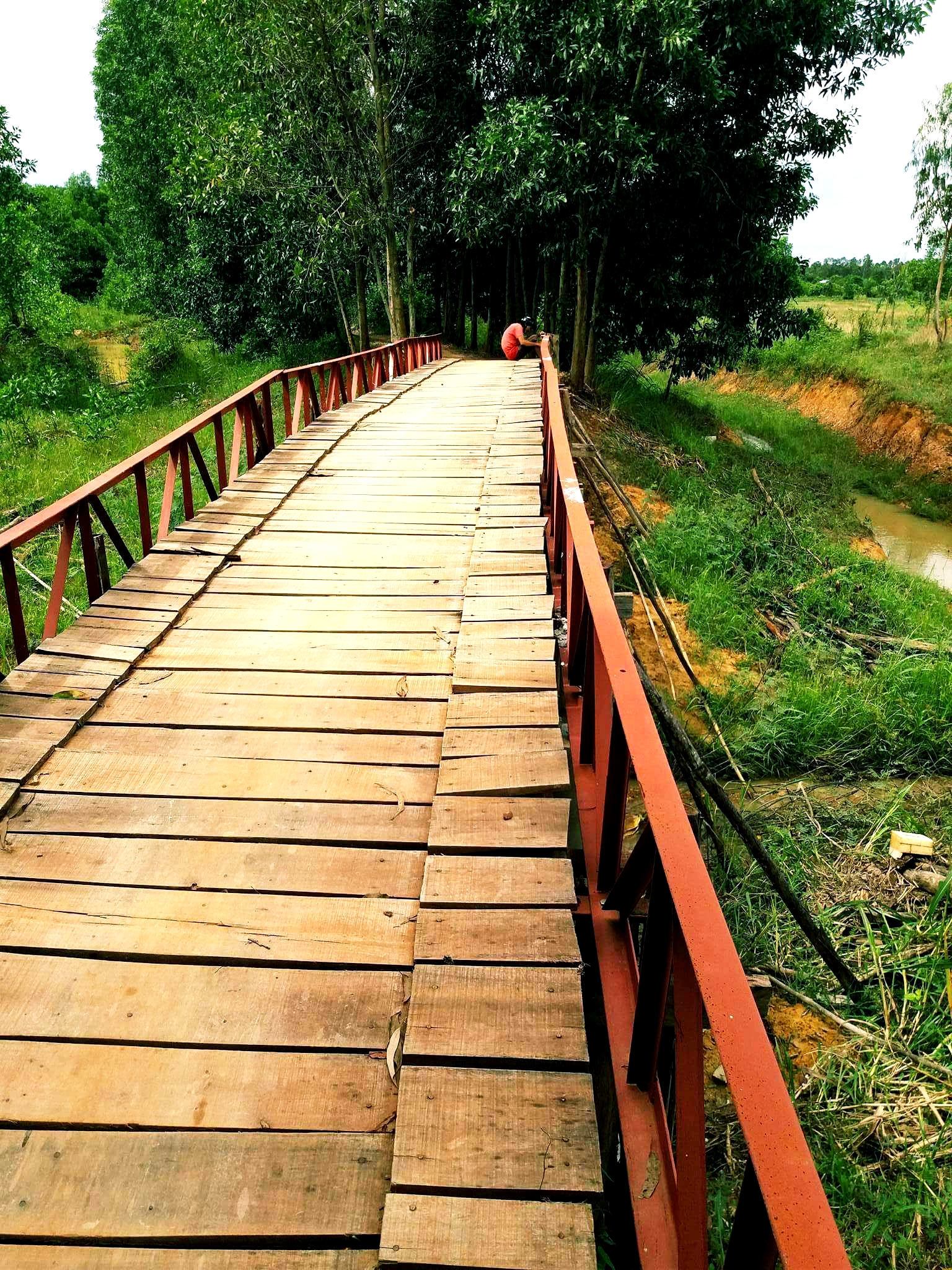 20180915_215100.jpg