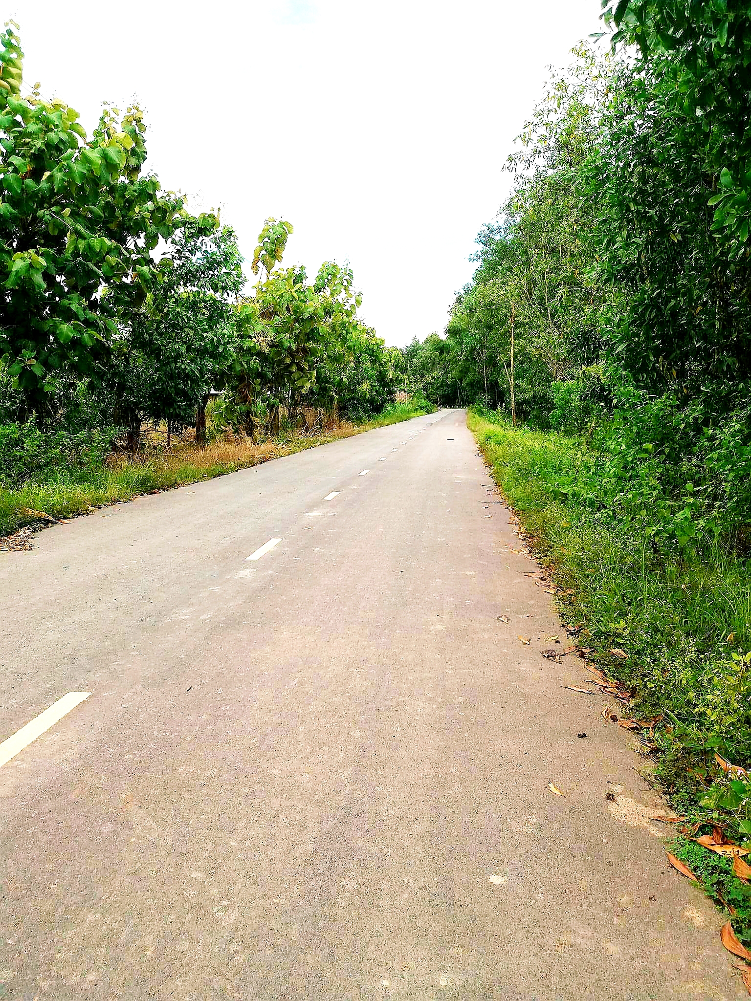20180915_215311.jpg
