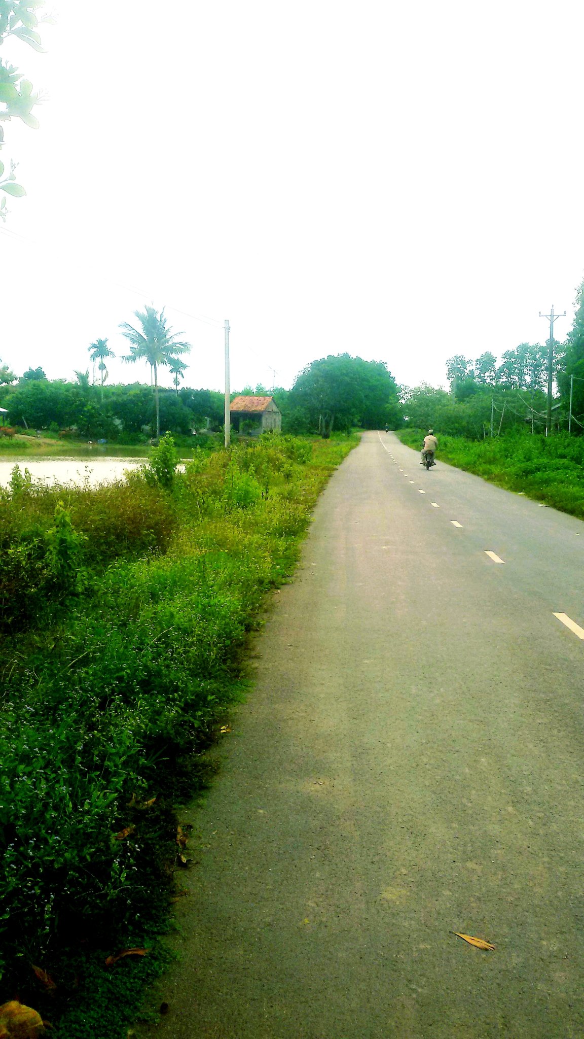 20180915_215637.jpg