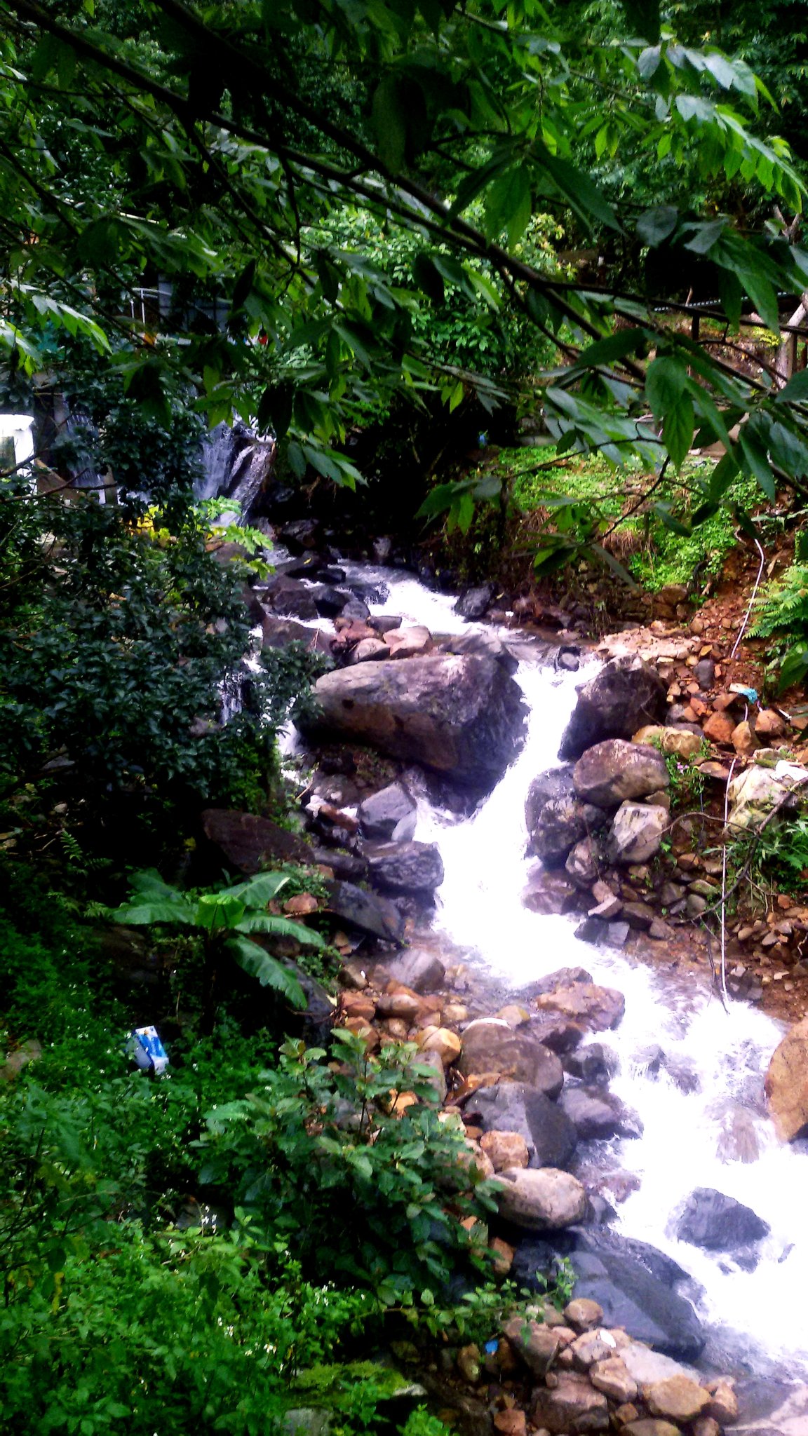 20180916_205617.jpg