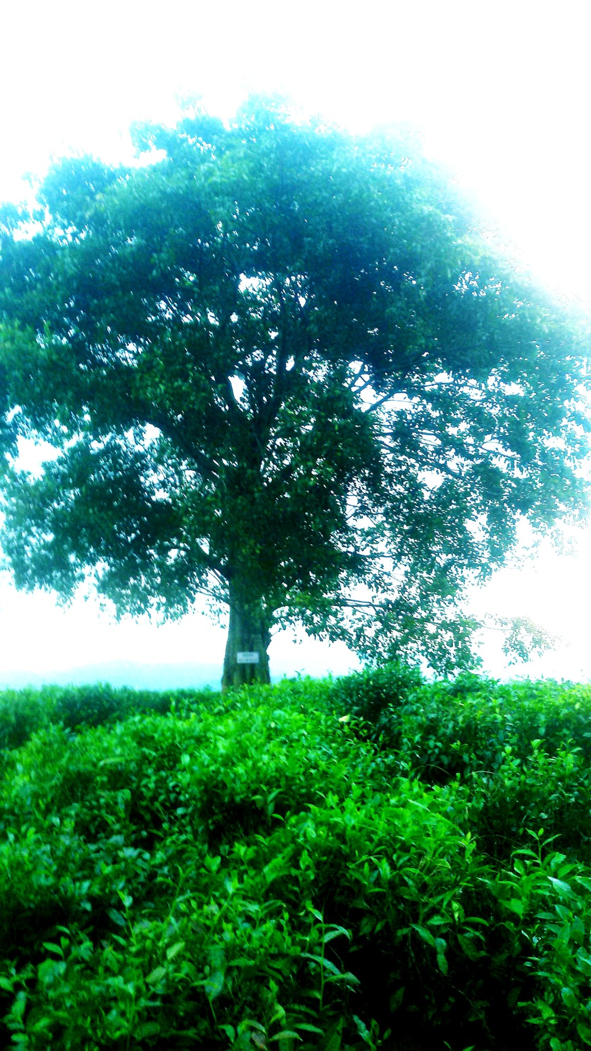 20180917_105230.jpg