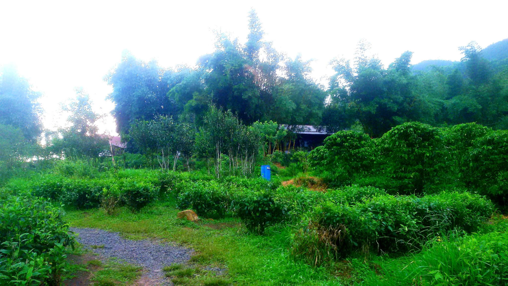 20180917_105825.jpg