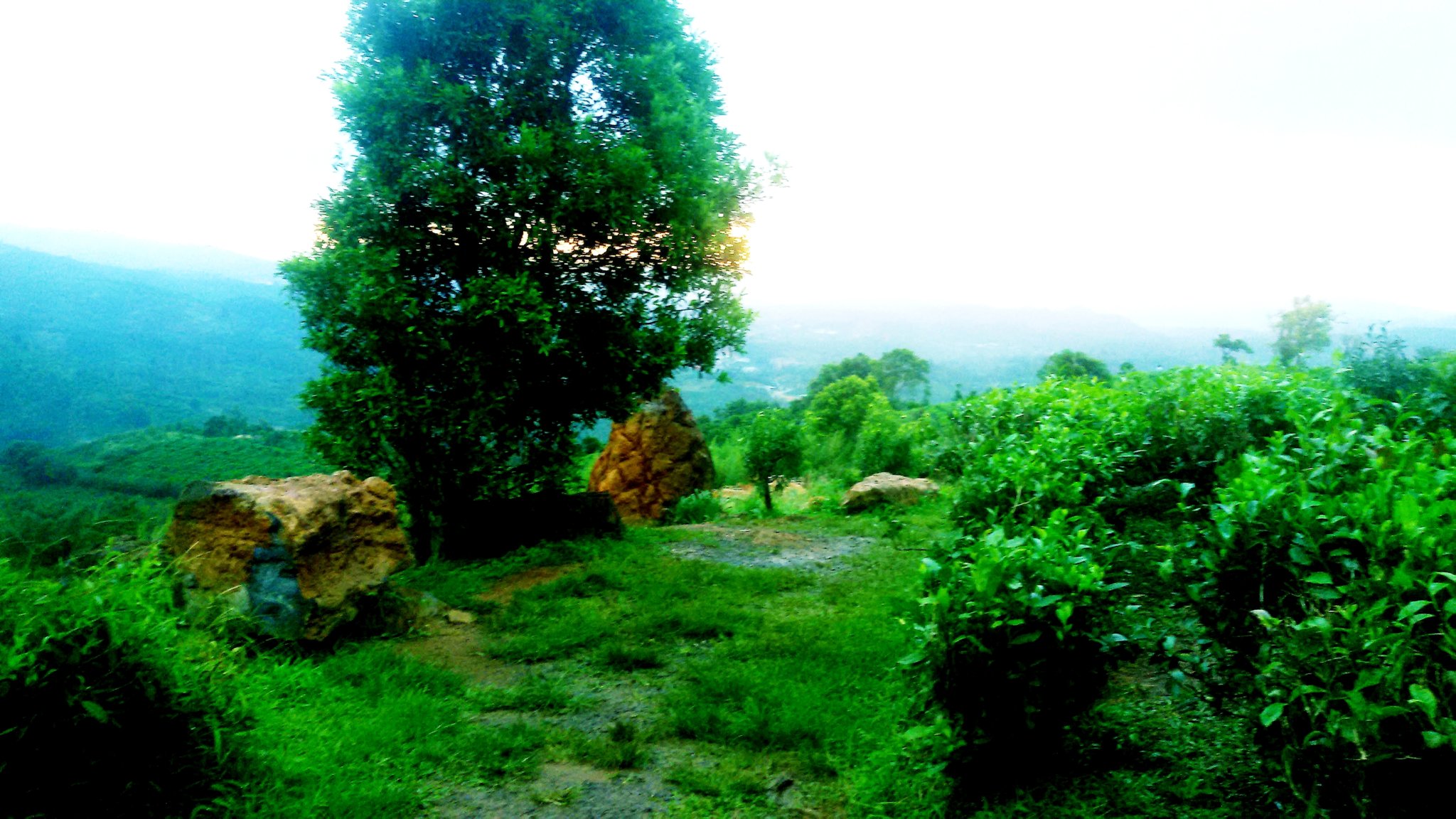 20180917_110139.jpg
