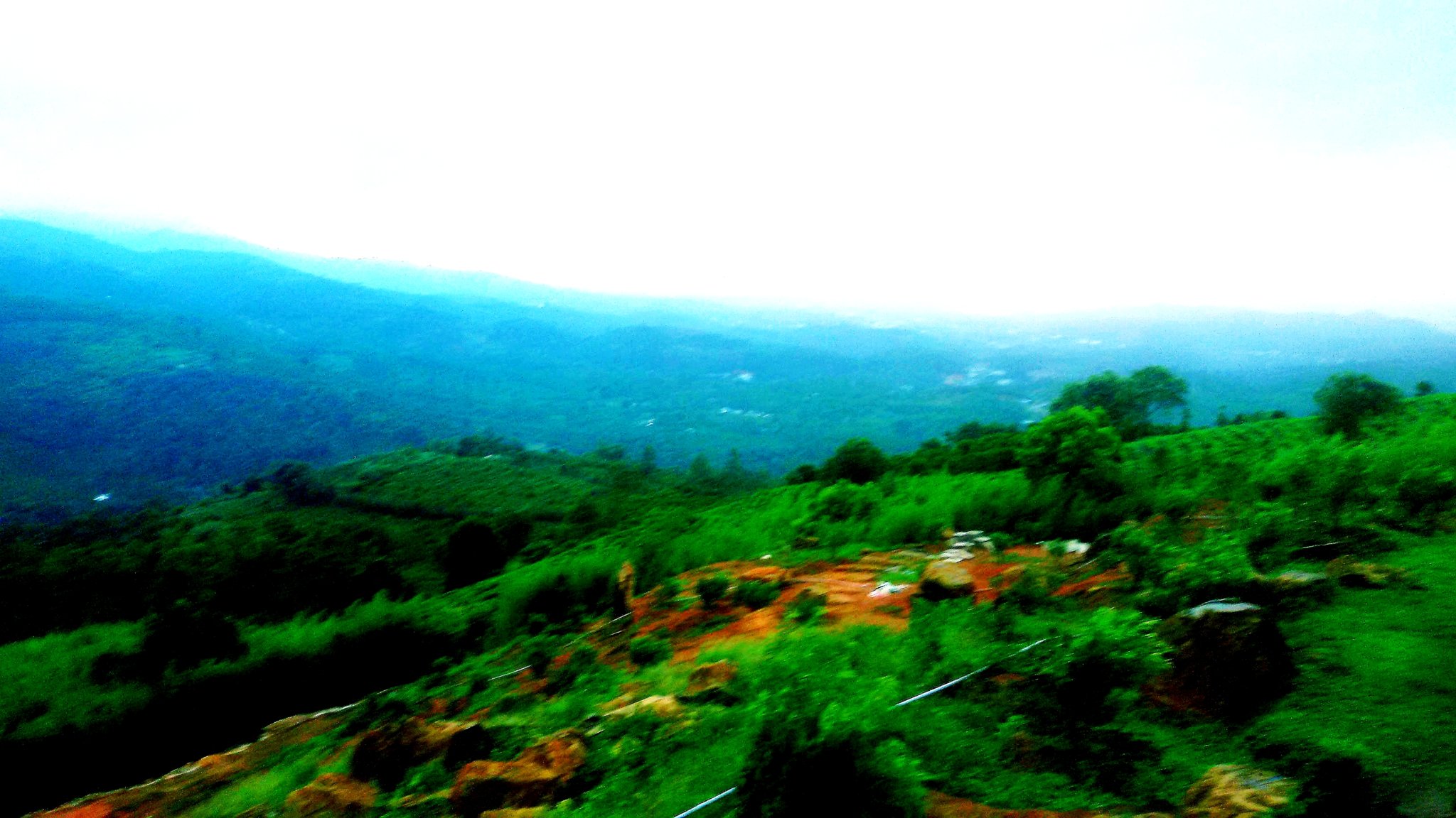 20180917_110322.jpg