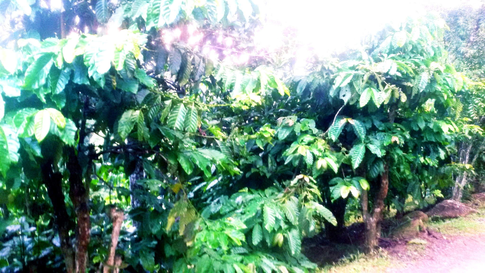 20180917_205543.jpg