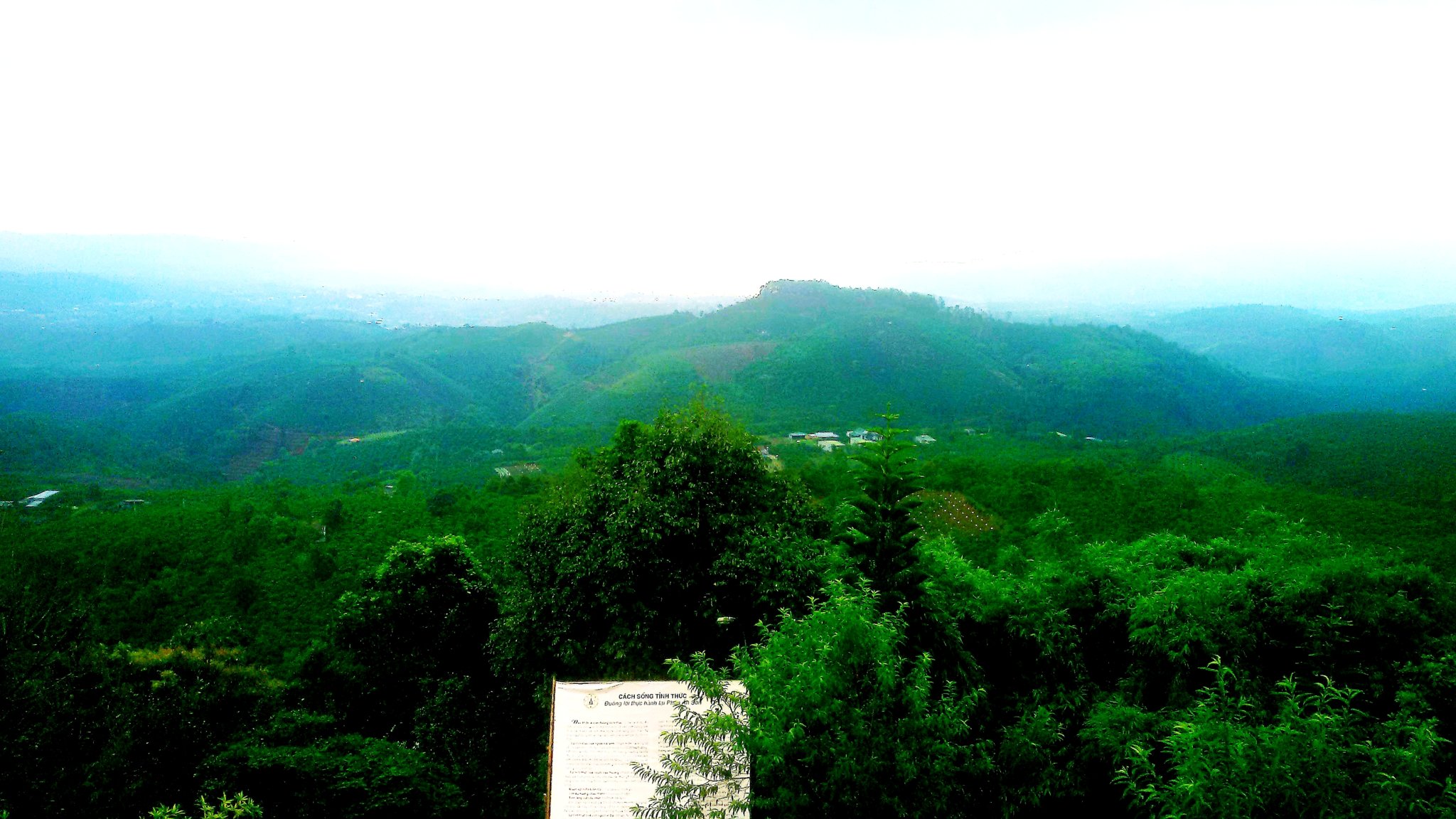 20180917_210530.jpg
