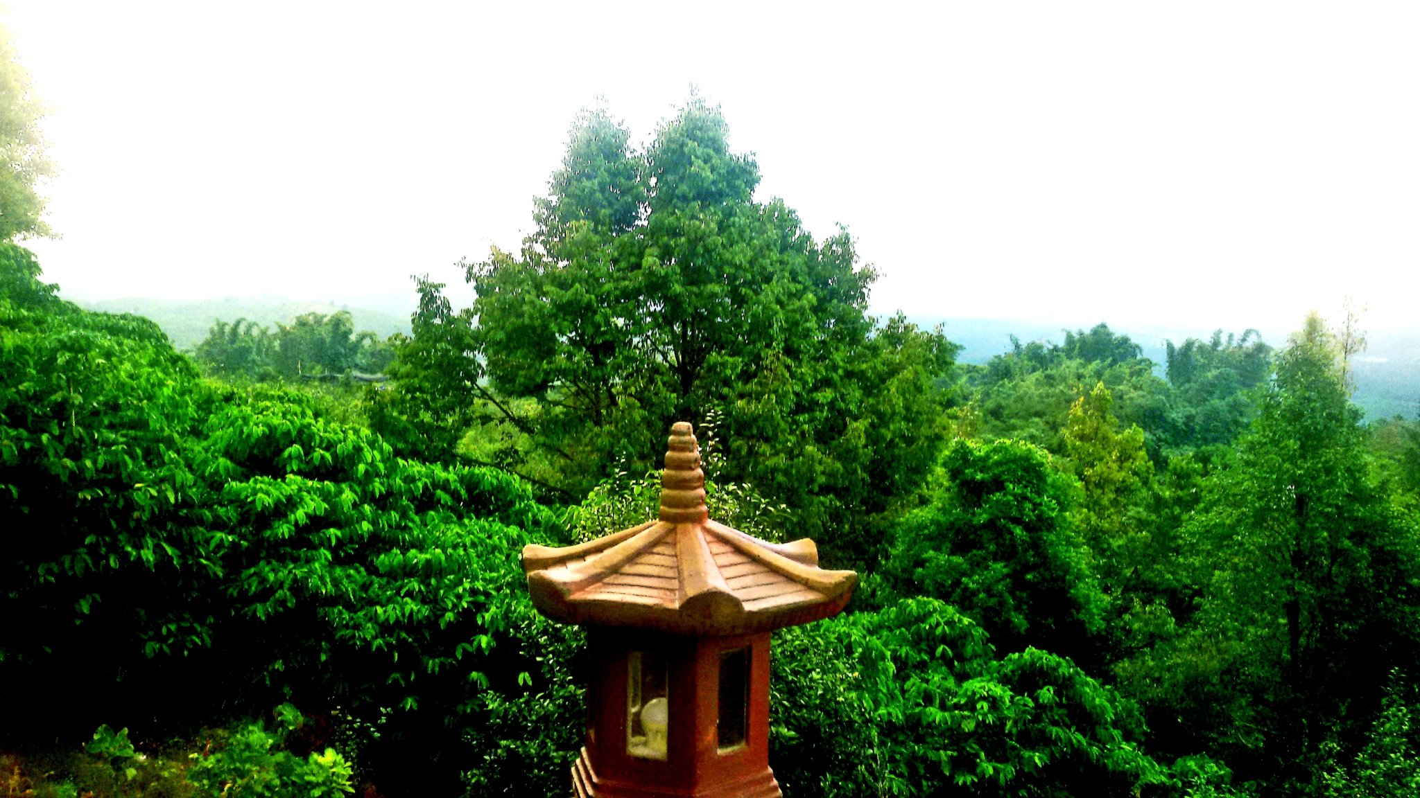 20180917_211159.jpg