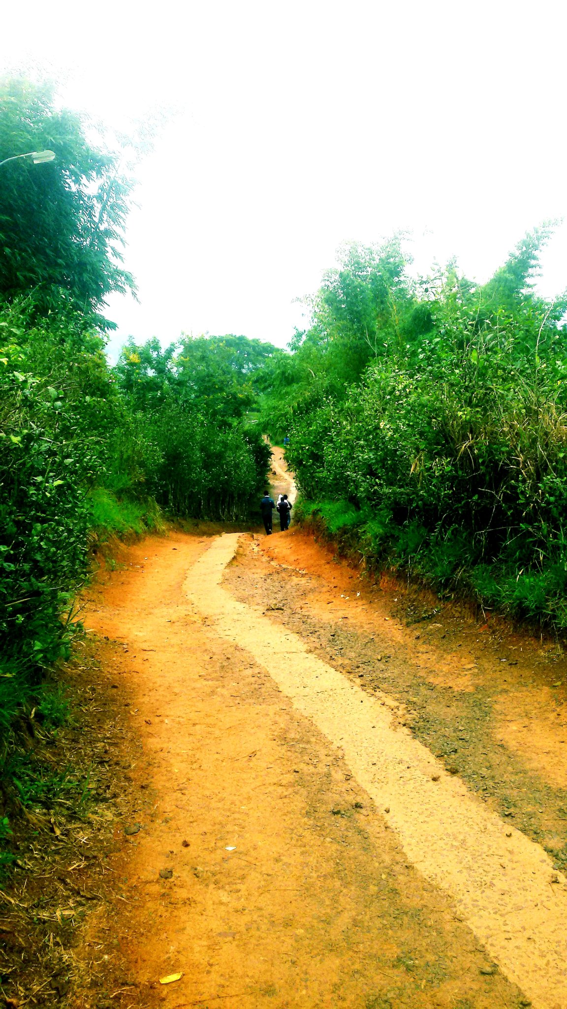 20180917_212627.jpg