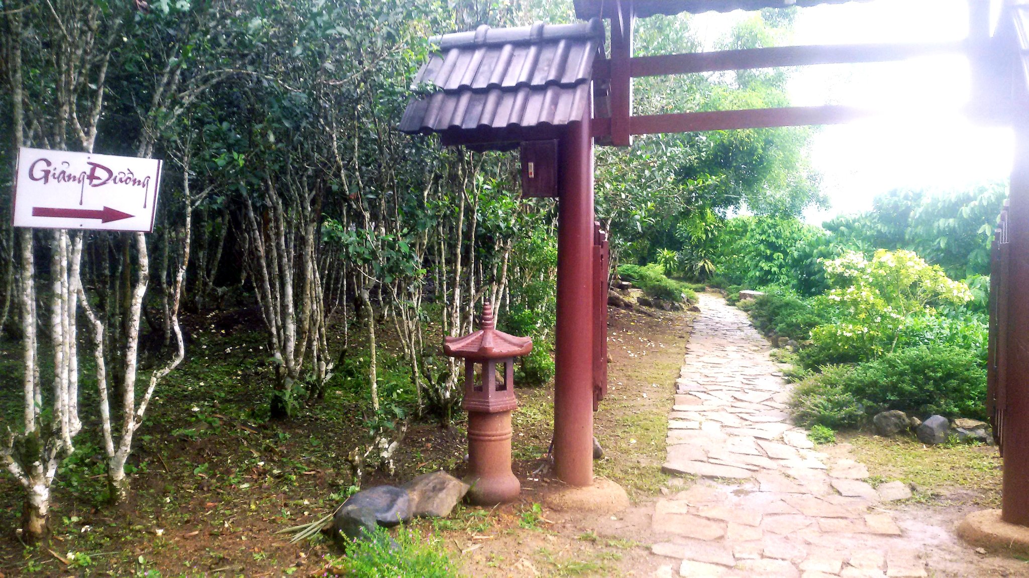 20180917_212811.jpg