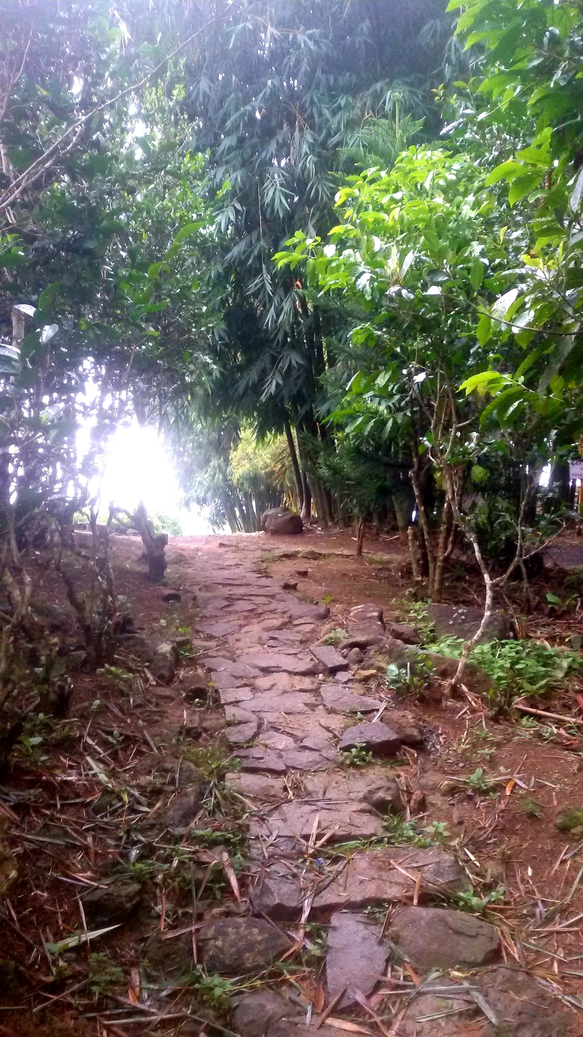 20180917_213702.jpg