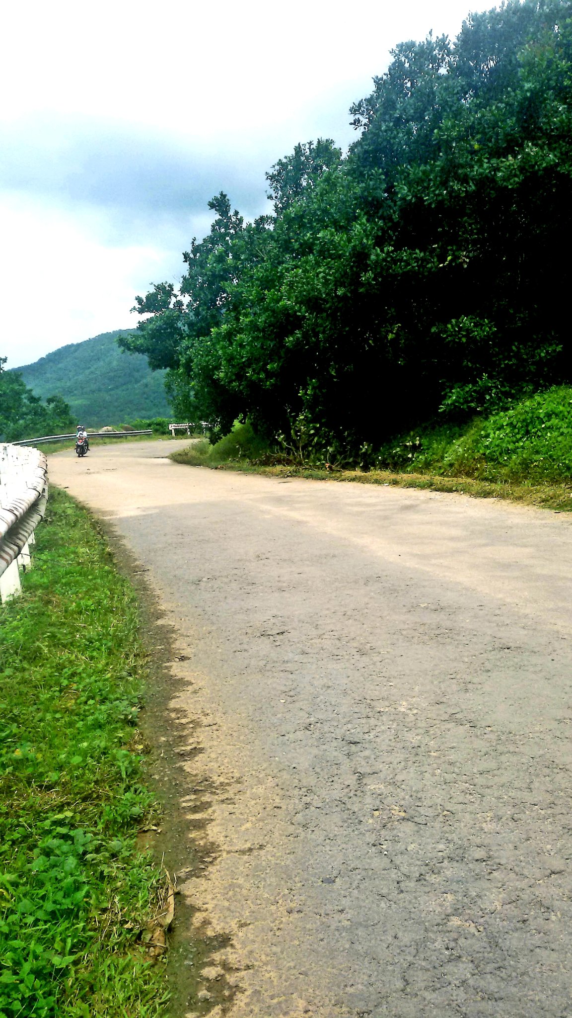 20181004_140341.jpg