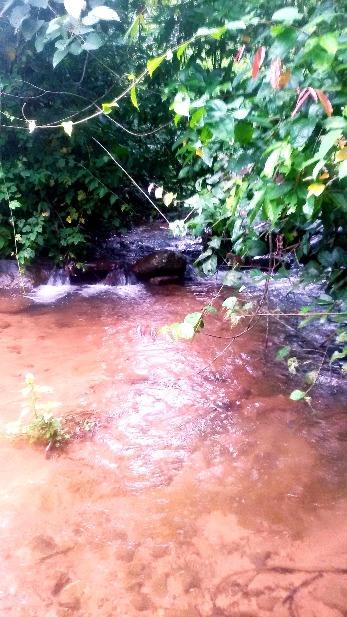 20181004_213916.jpg