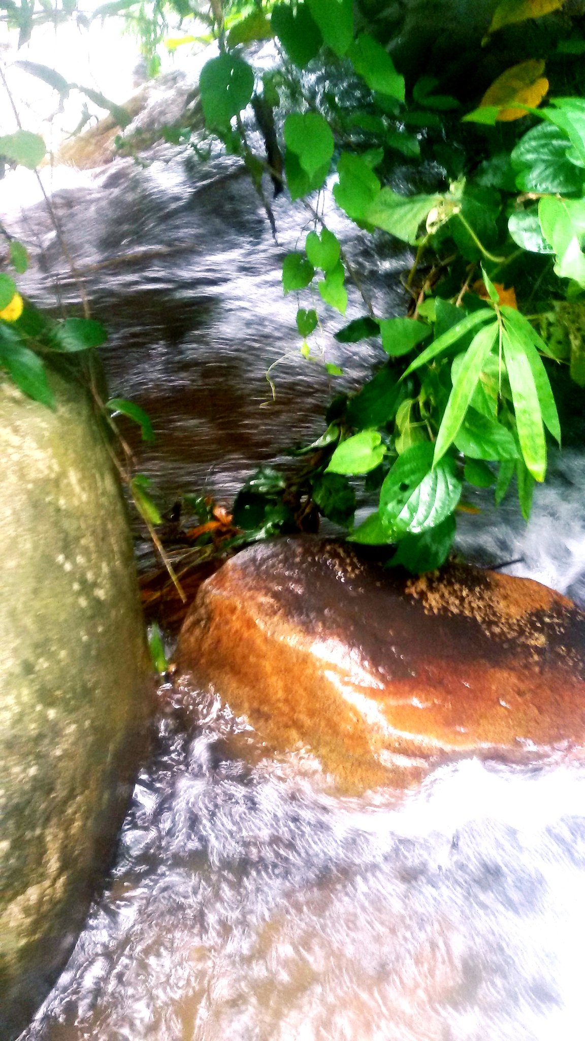 20181004_214004.jpg