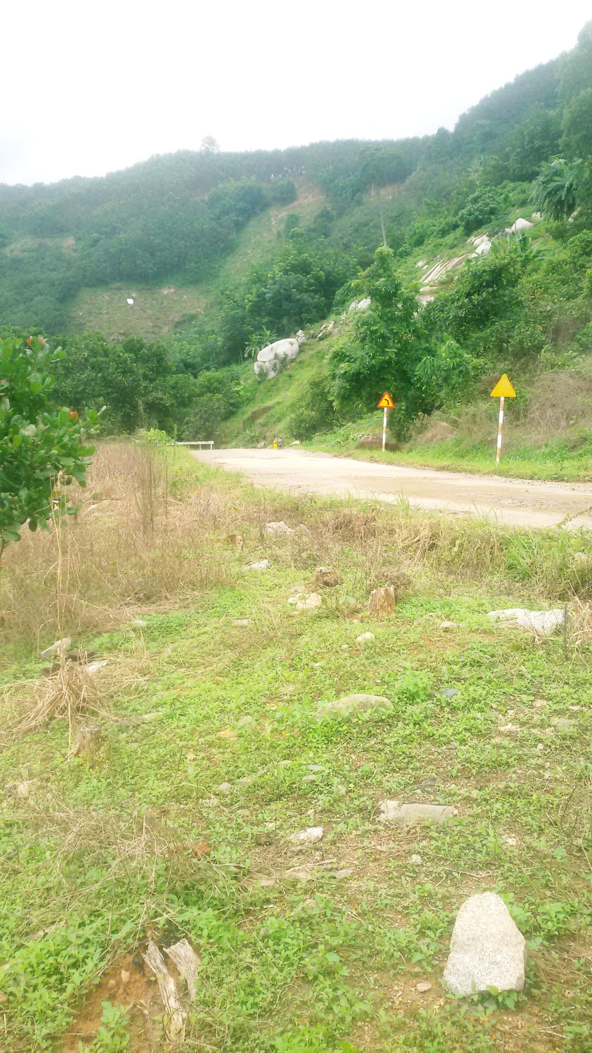 20181005_110652.jpg