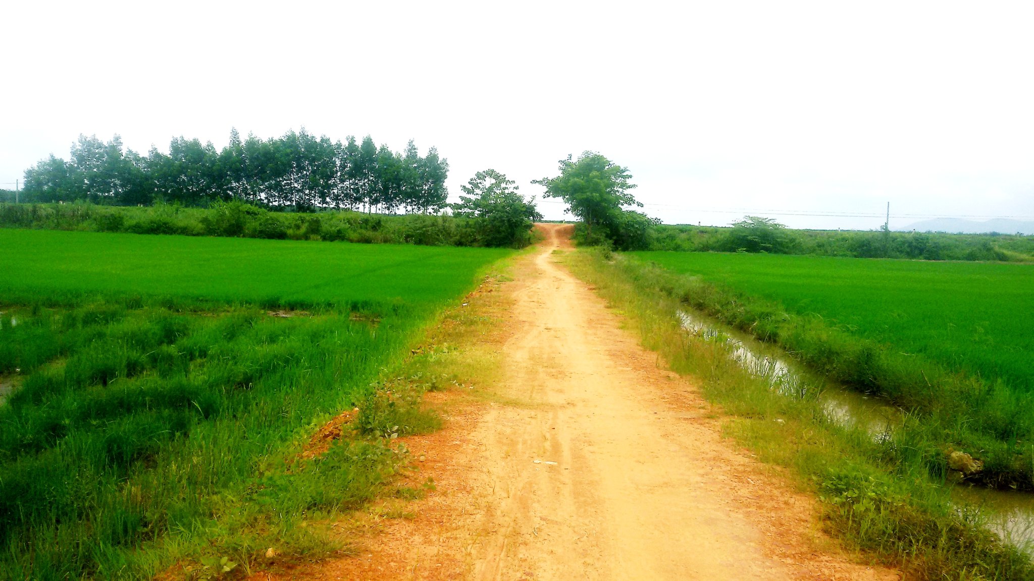 20181005_200917.jpg