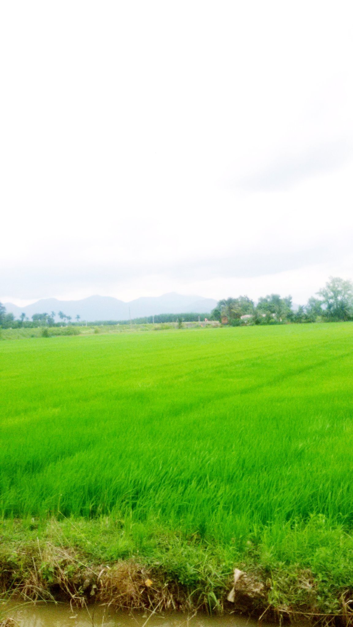 20181005_201204.jpg