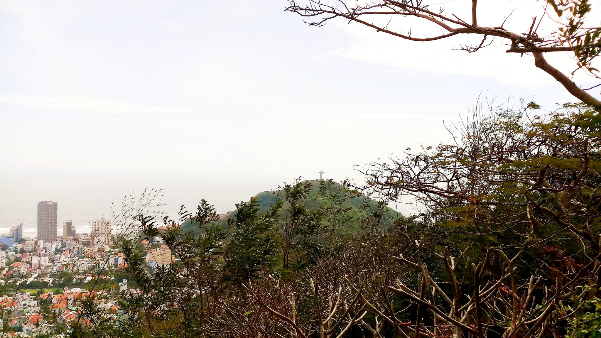 20181020_095440.jpg