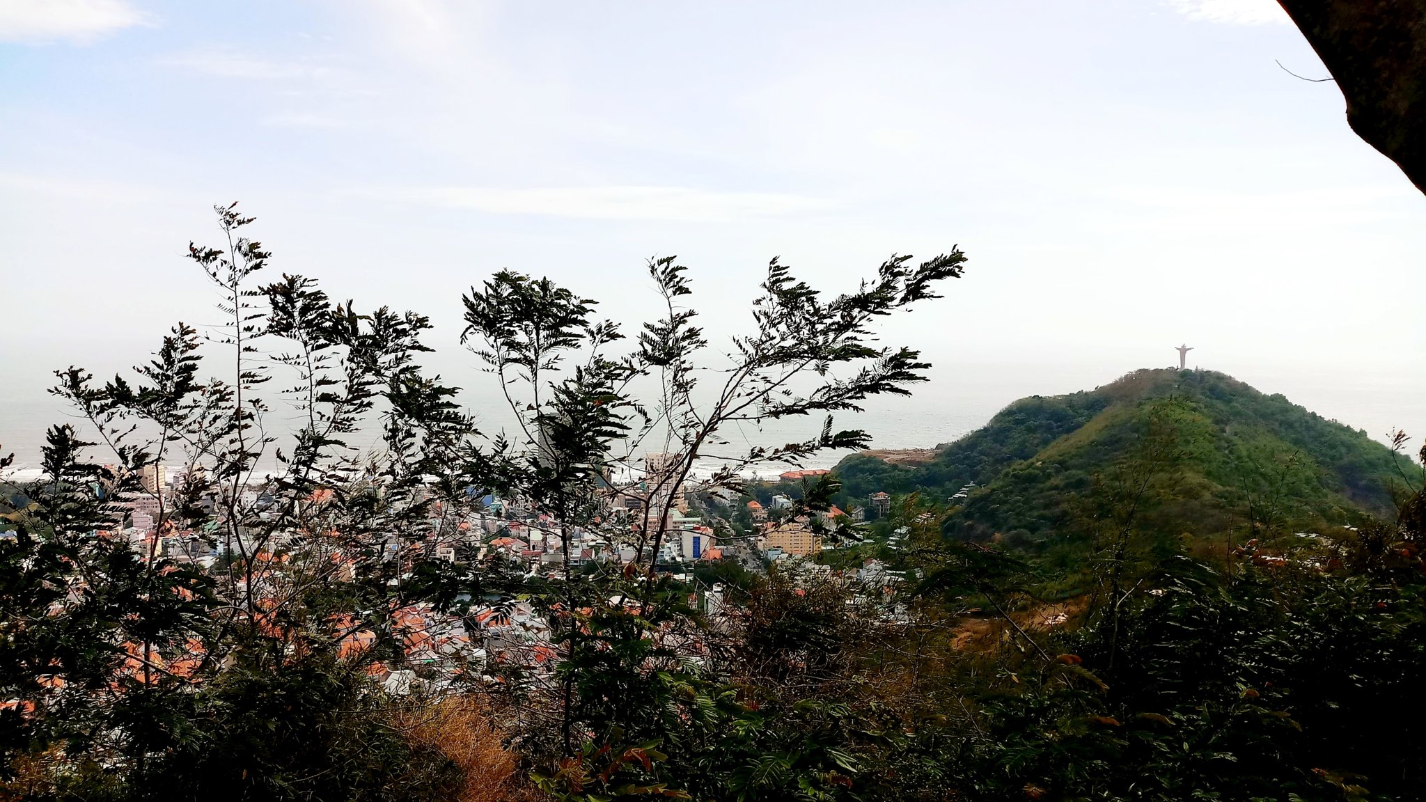 20181020_165233.jpg