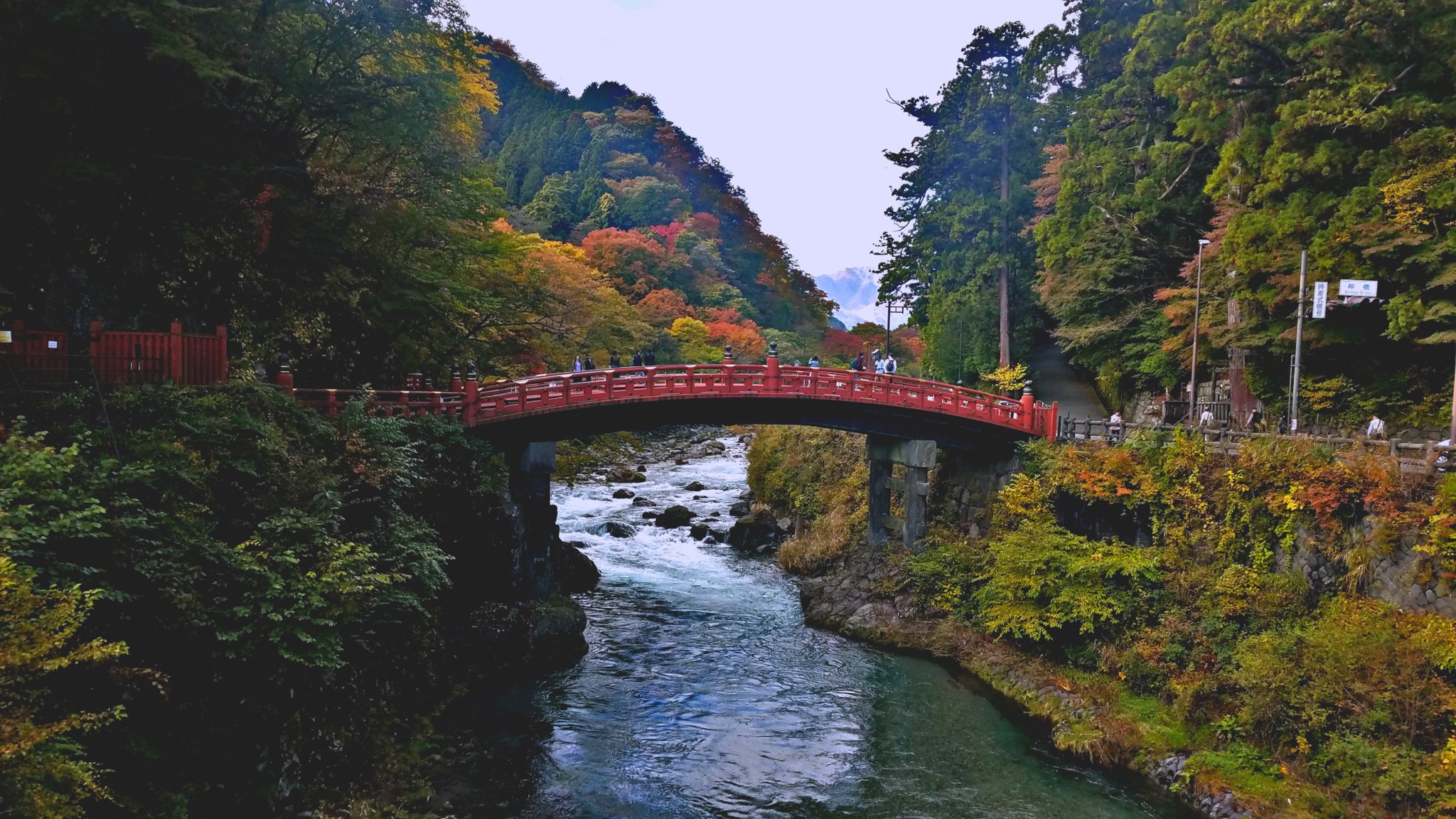 20181028_120718.jpg