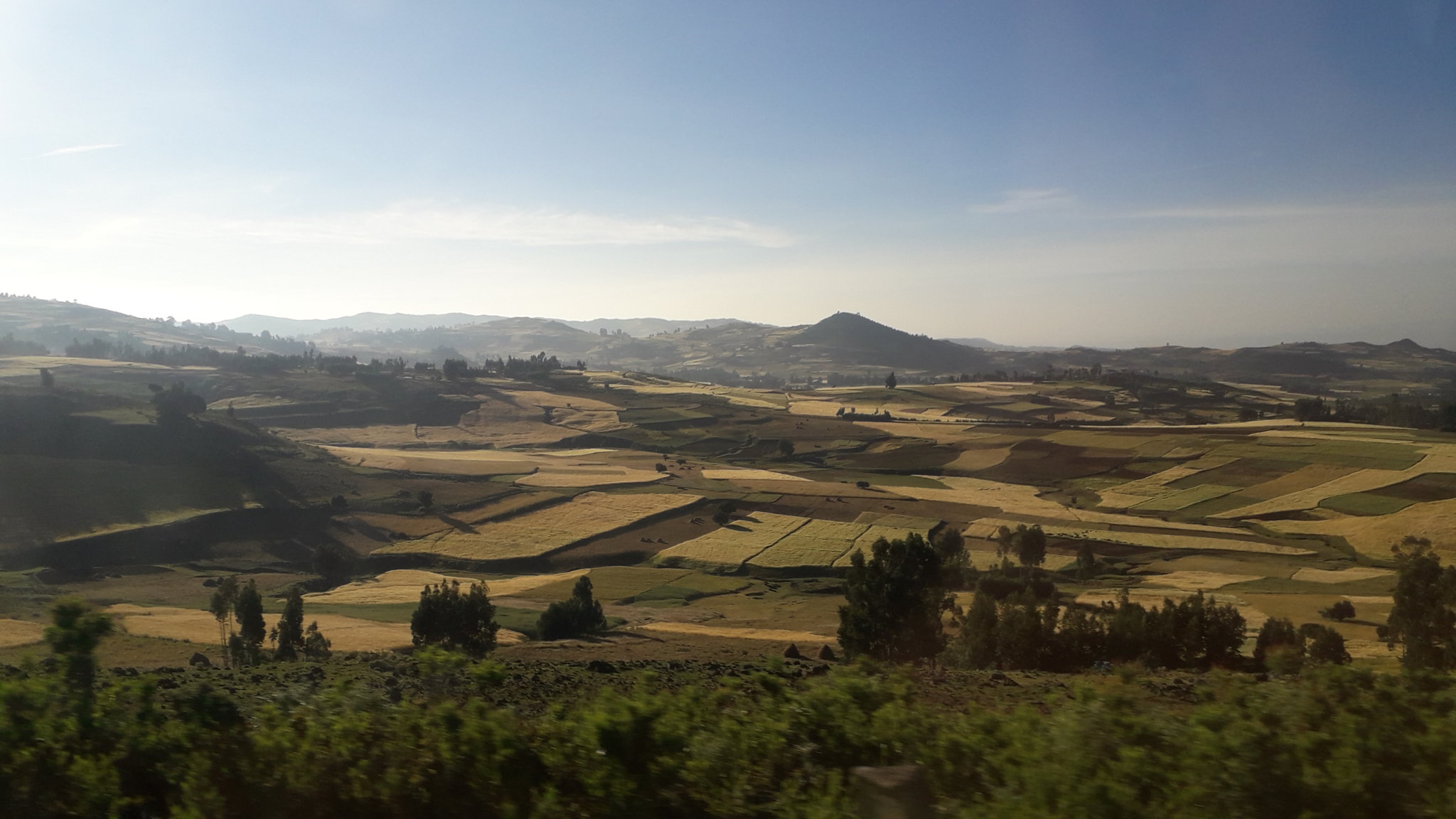 20181030_073925.jpg