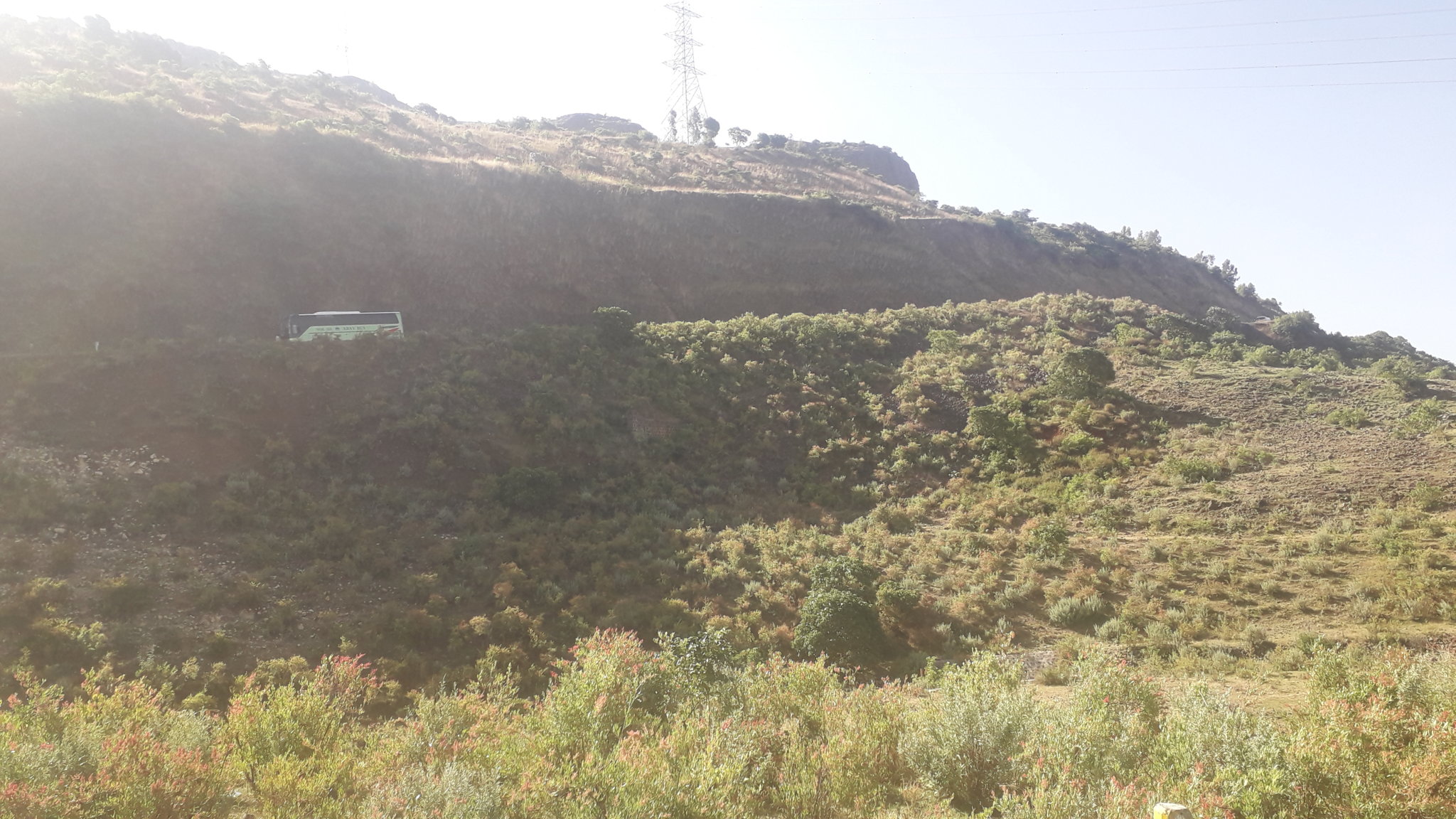 20181030_084731.jpg