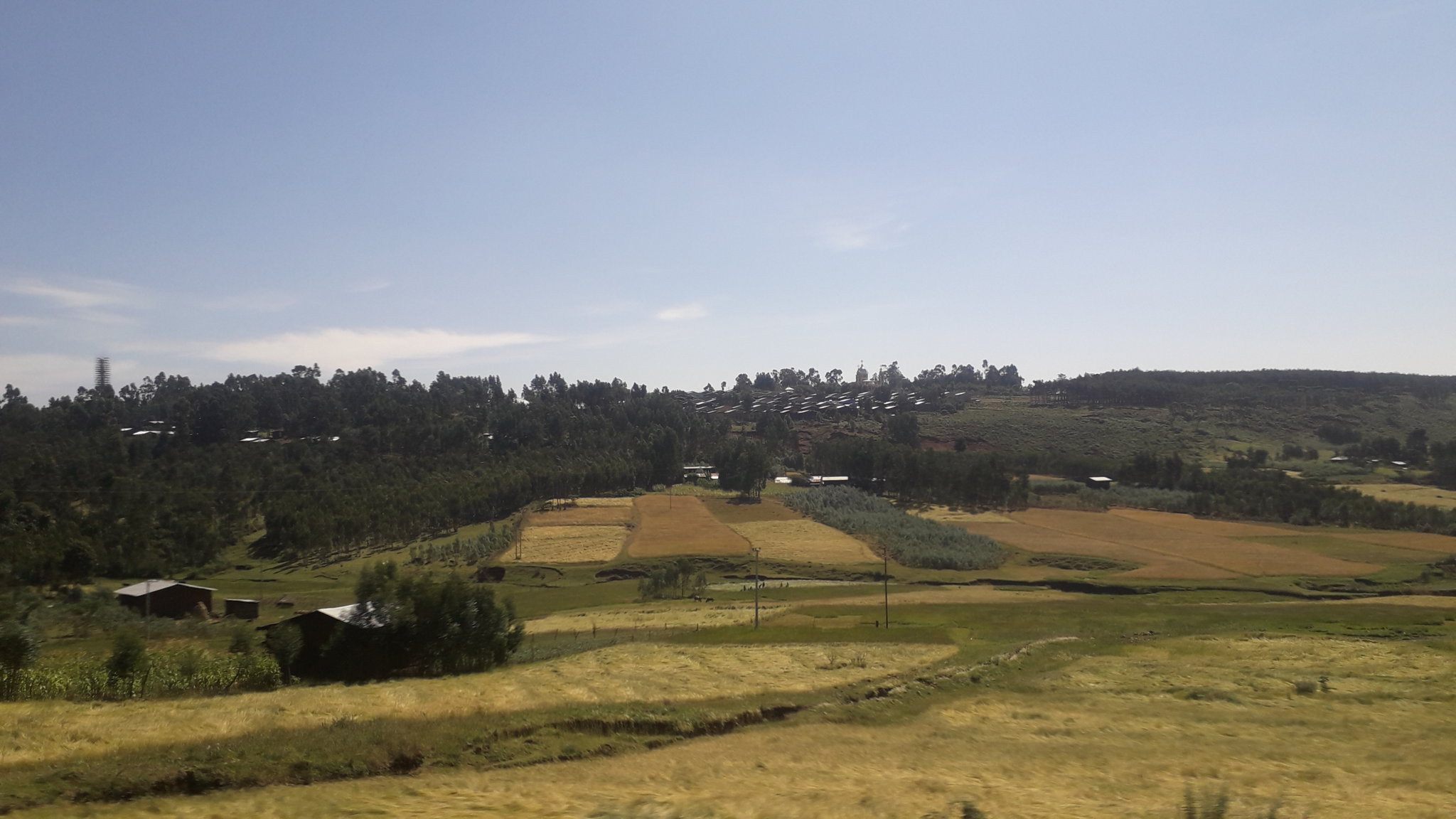 20181030_103215.jpg