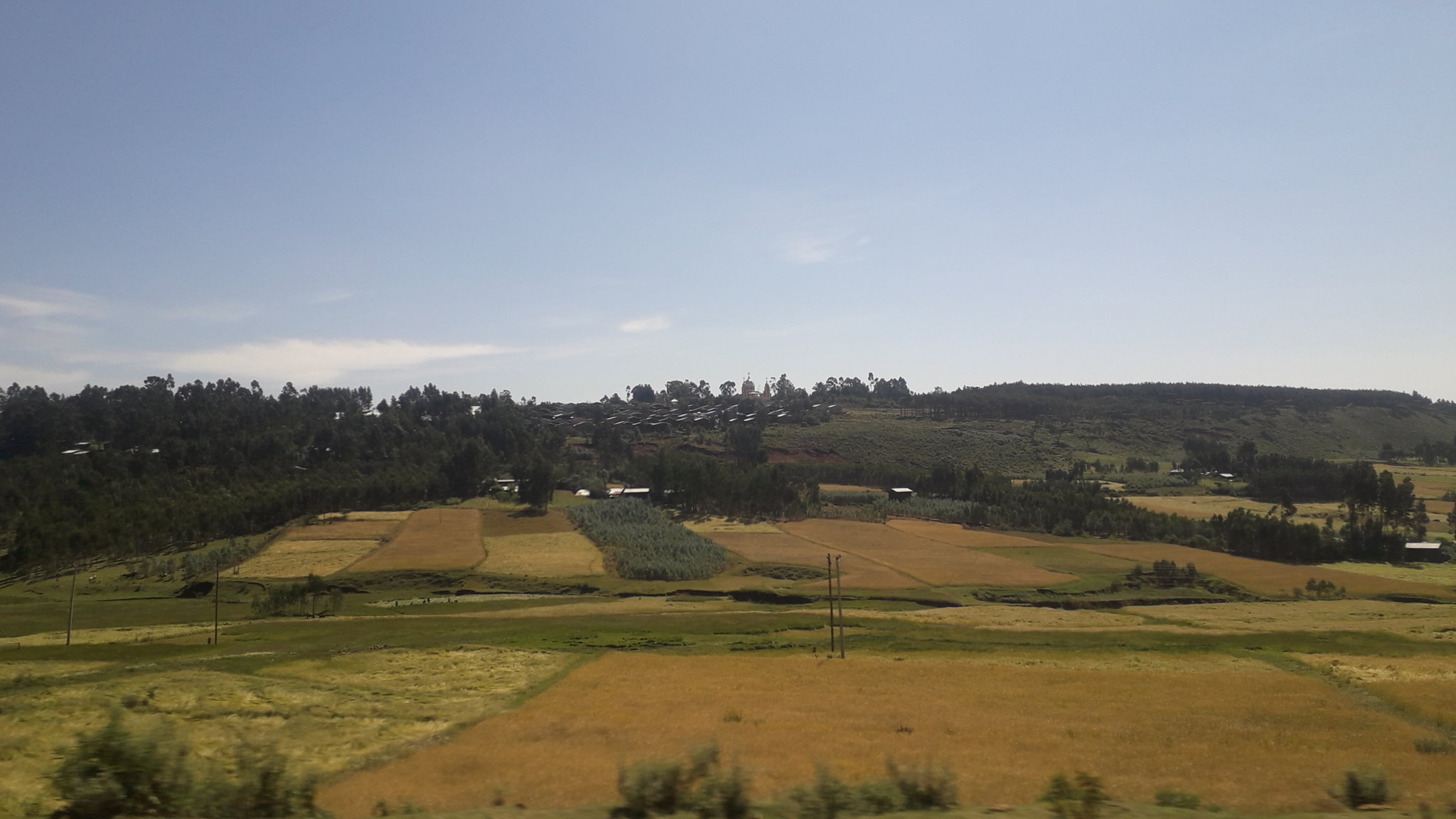 20181030_103217.jpg