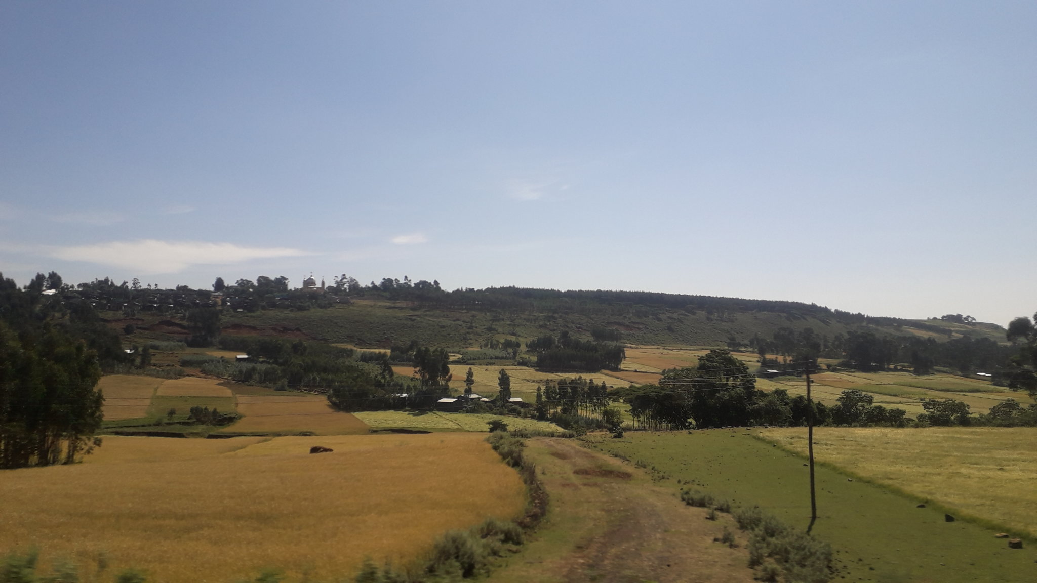 20181030_103224.jpg