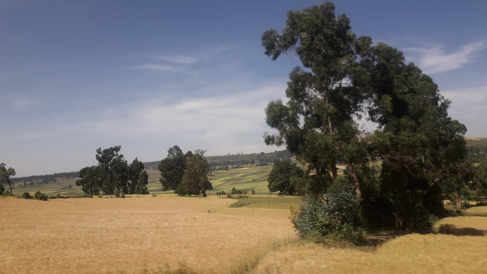 20181030_103409.jpg