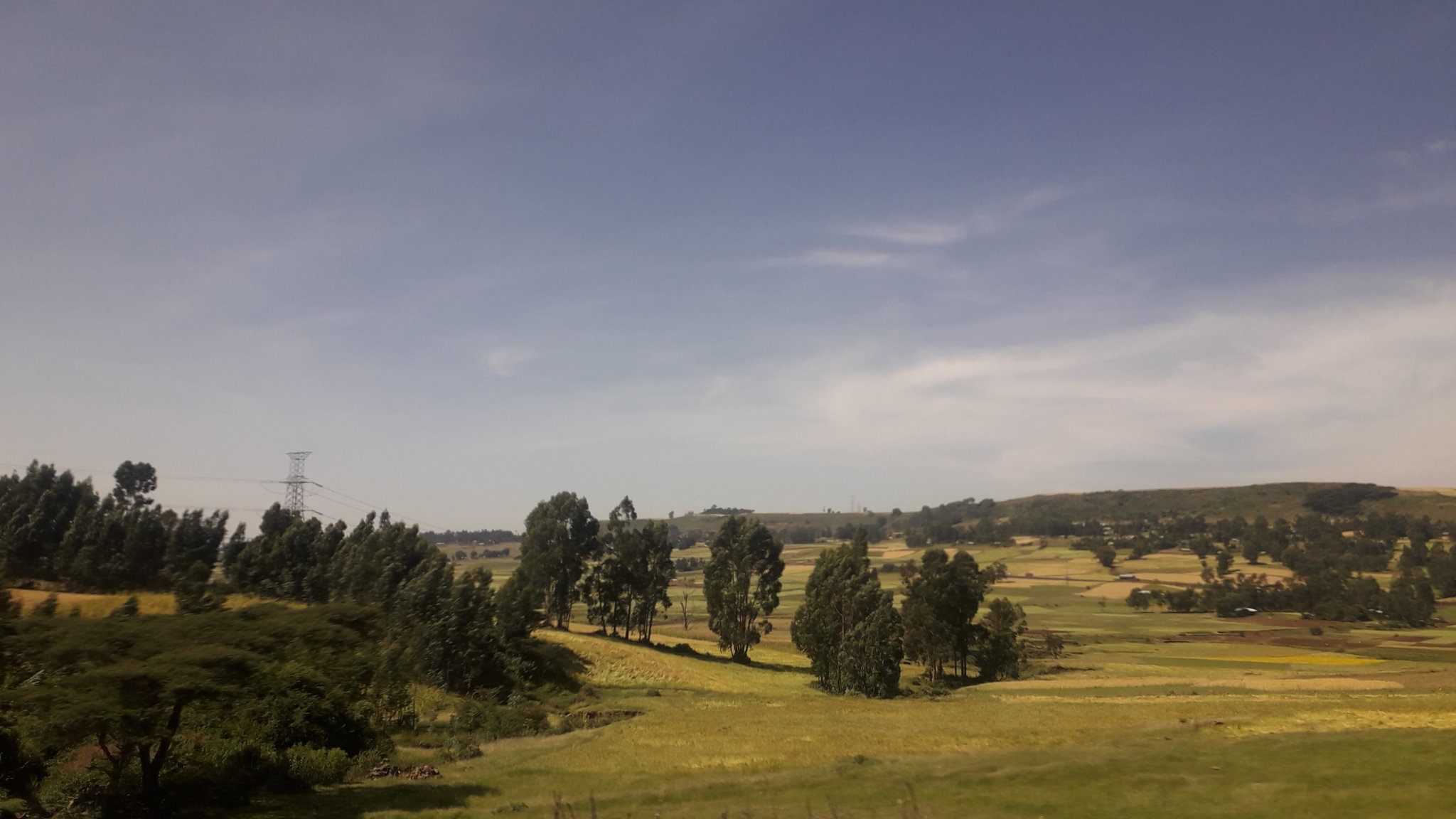 20181030_103432.jpg