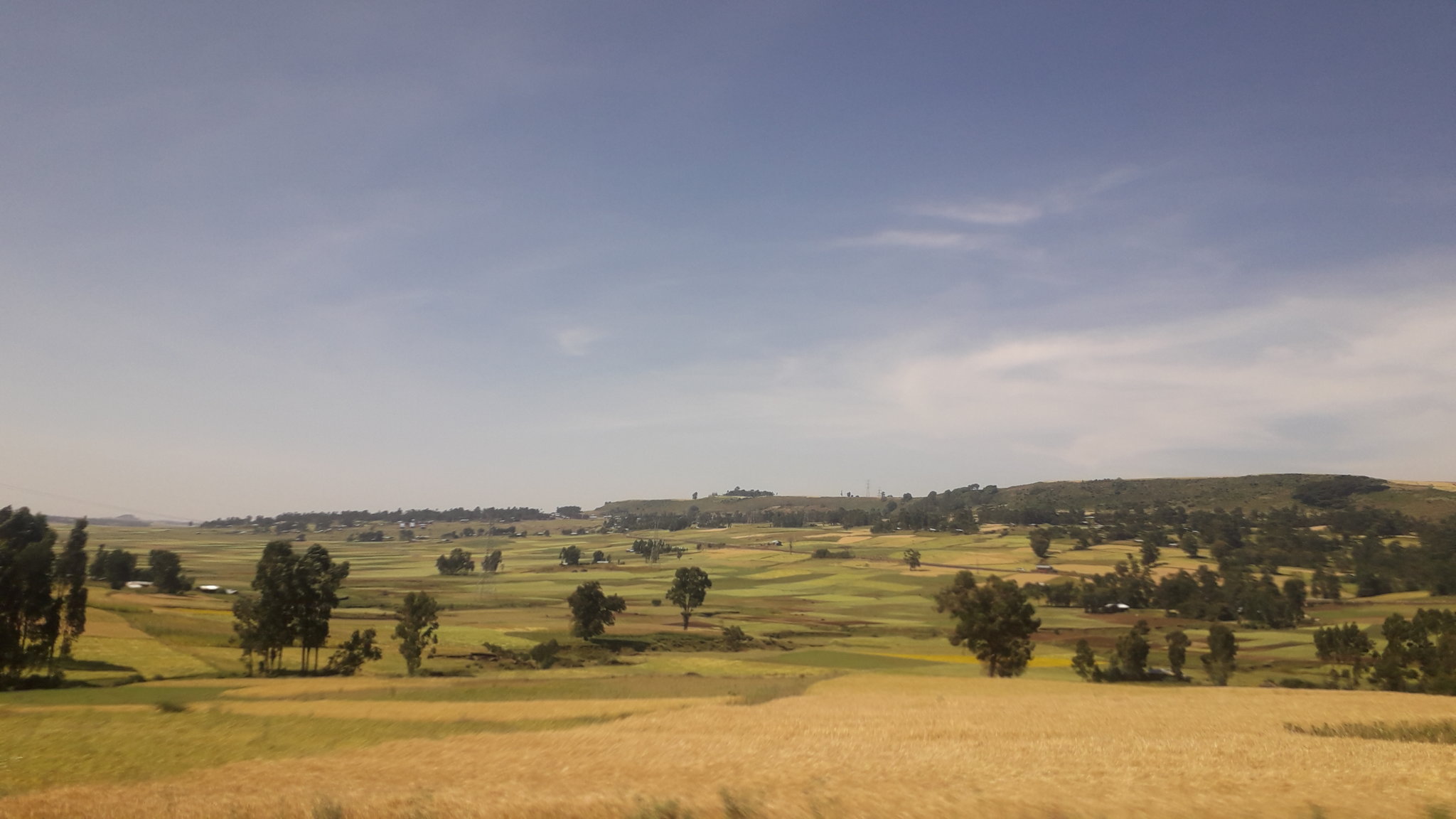 20181030_103437.jpg