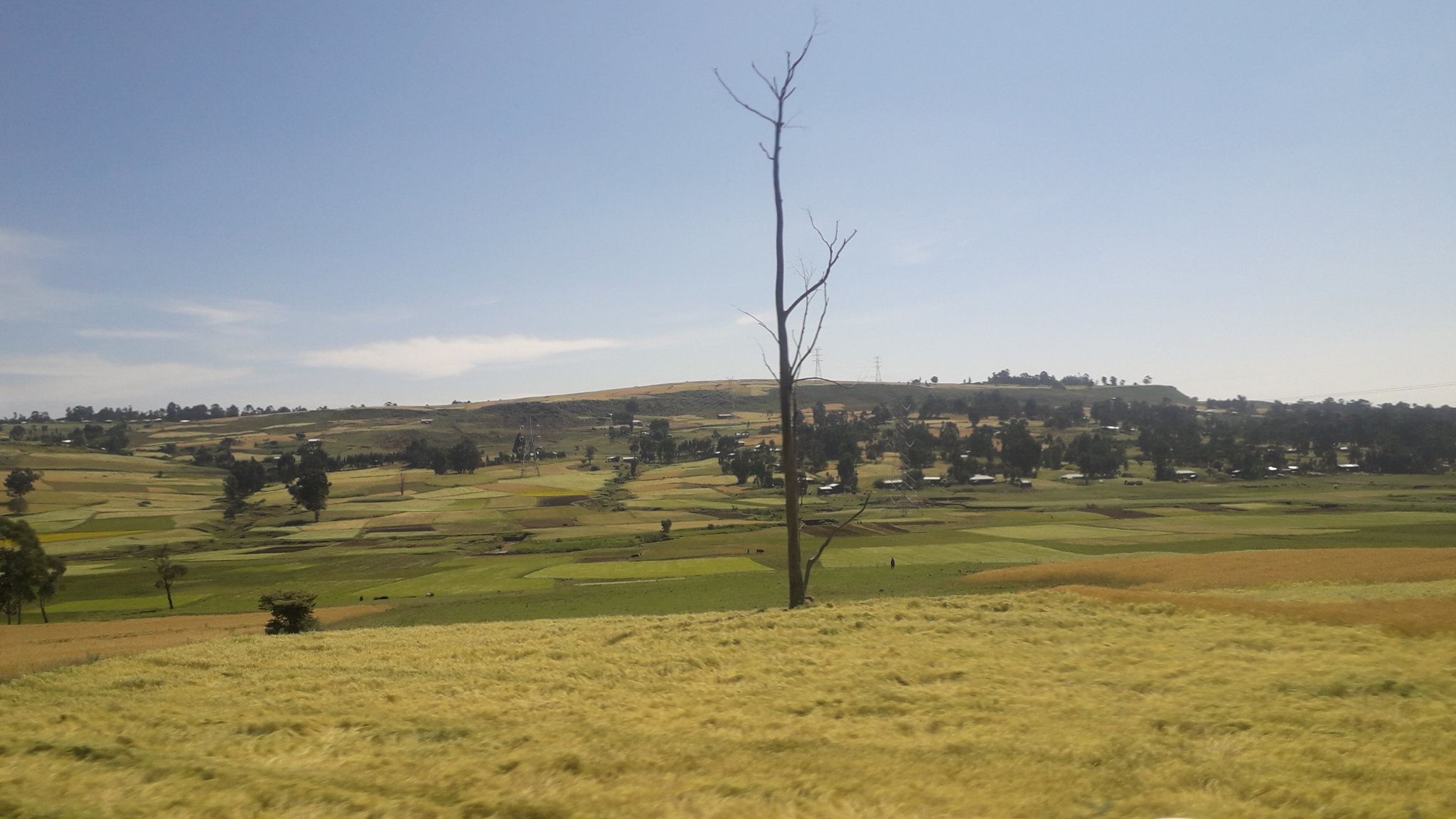 20181030_103547.jpg