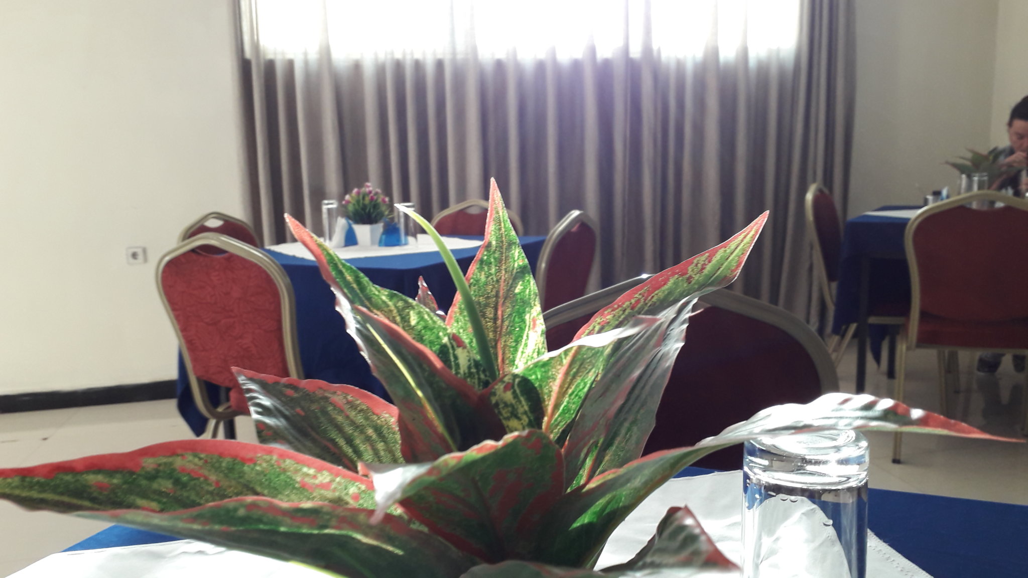 20181031_073017.jpg