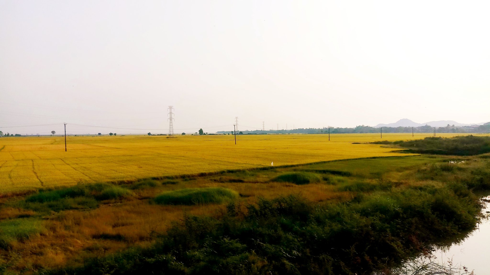 20181116_185425.jpg