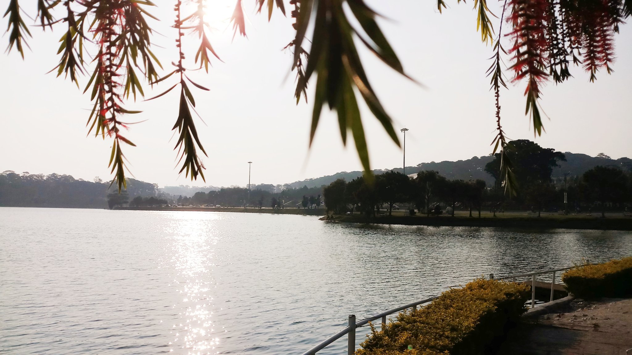 20181128_214715.jpg