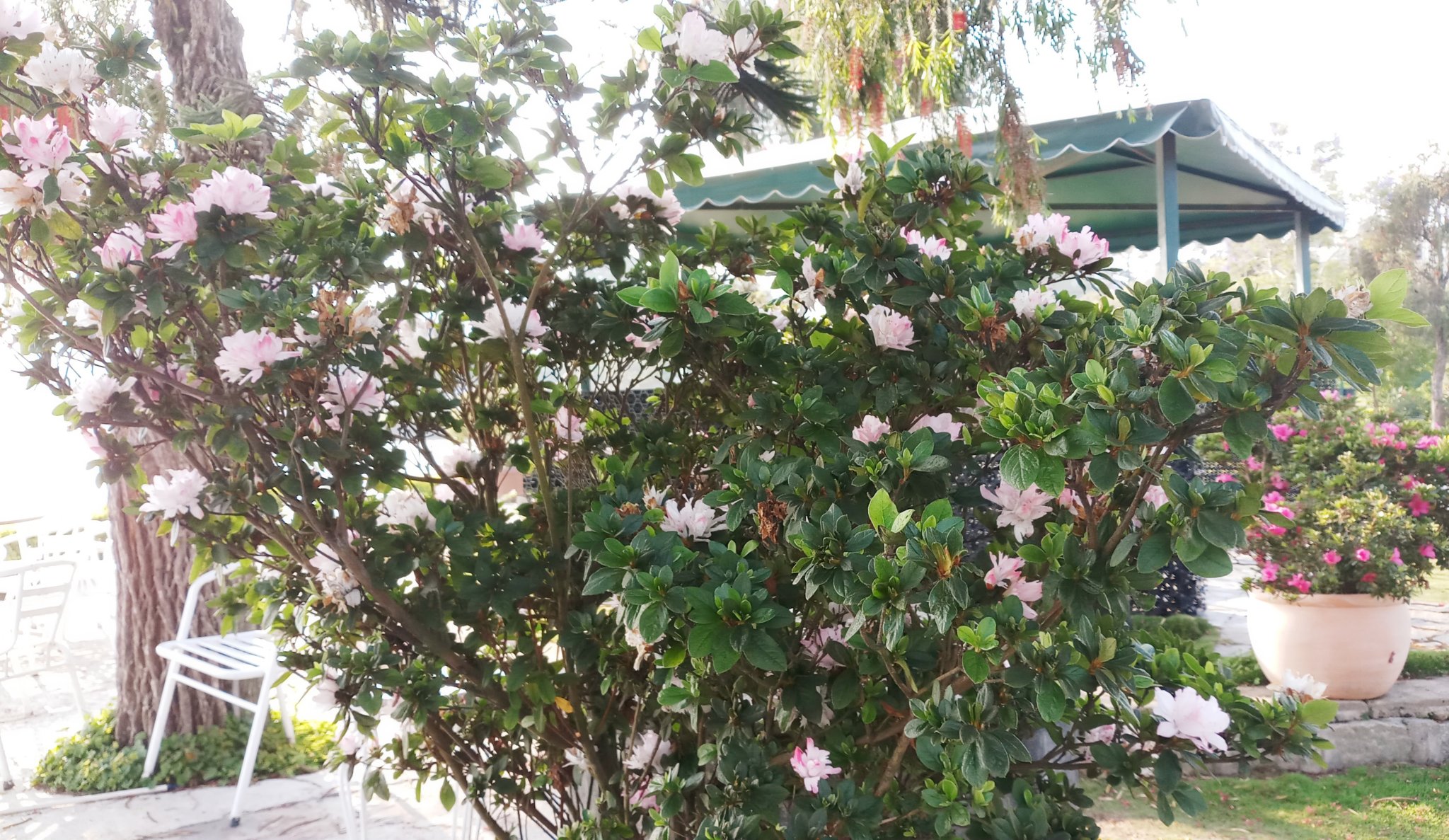 20181128_215358.jpg