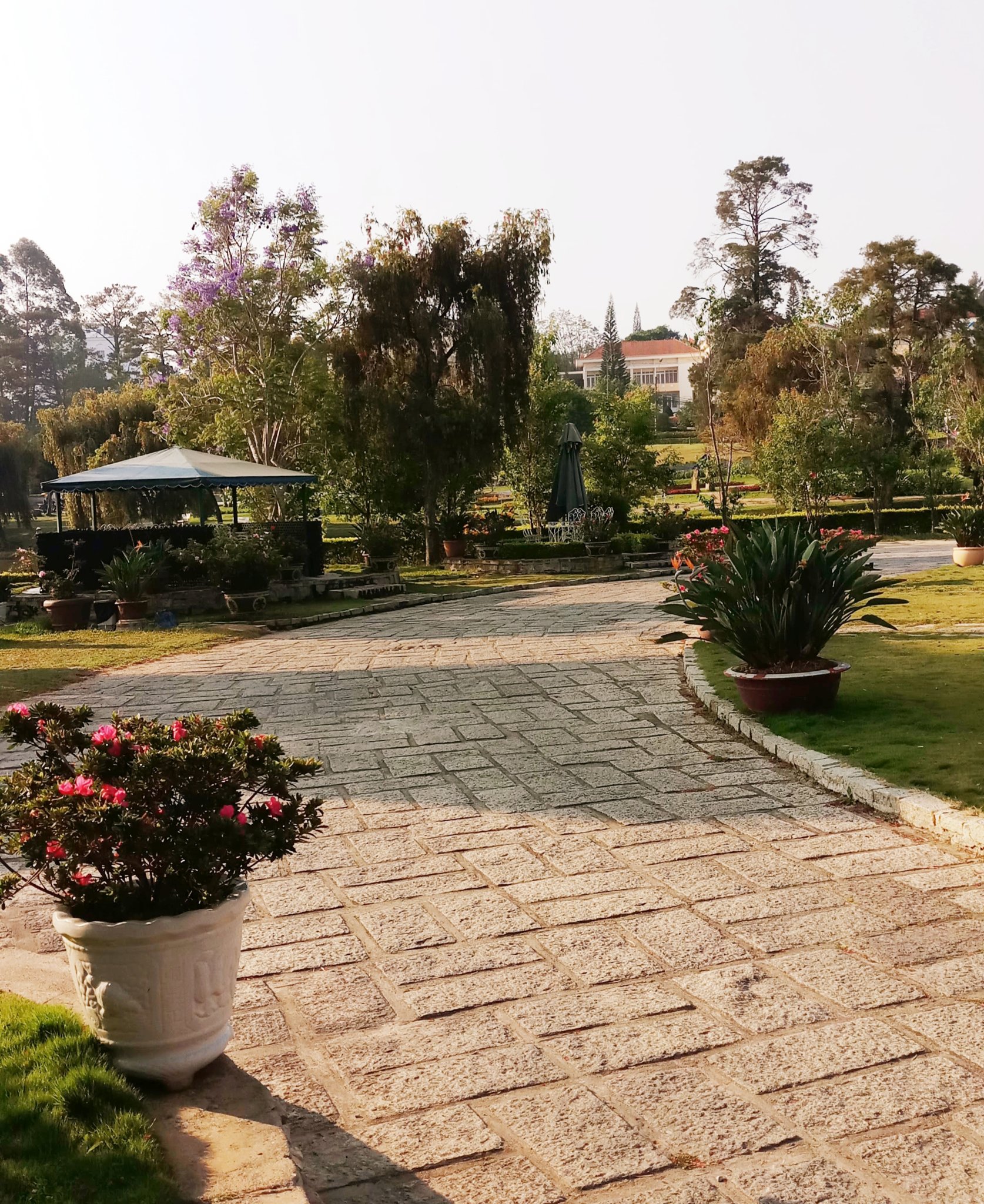20181129_125830.jpg