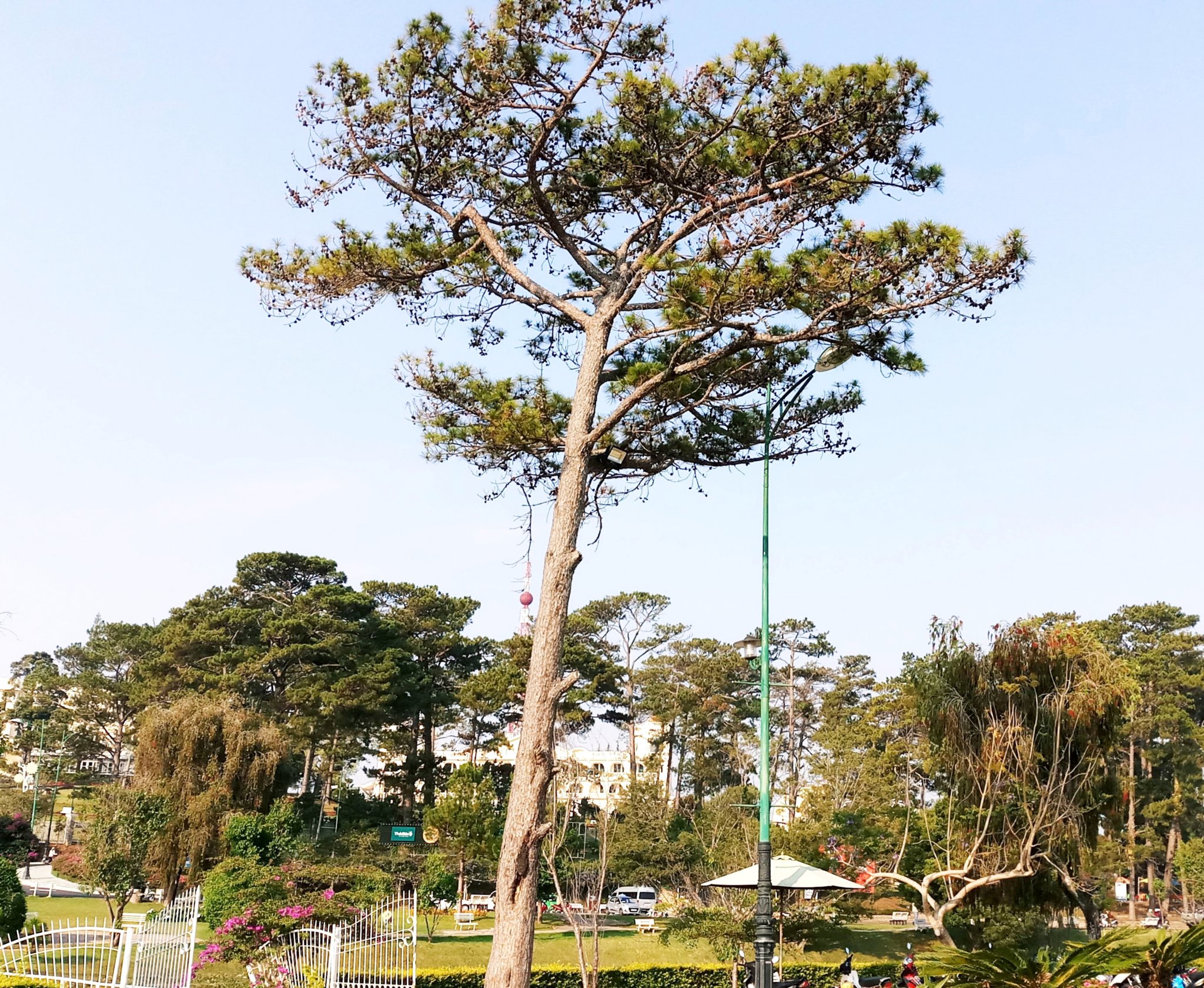 20181129_131220.jpg