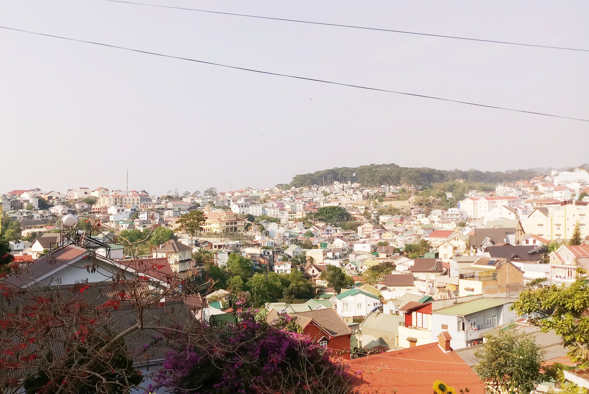 20181129_164157.jpg