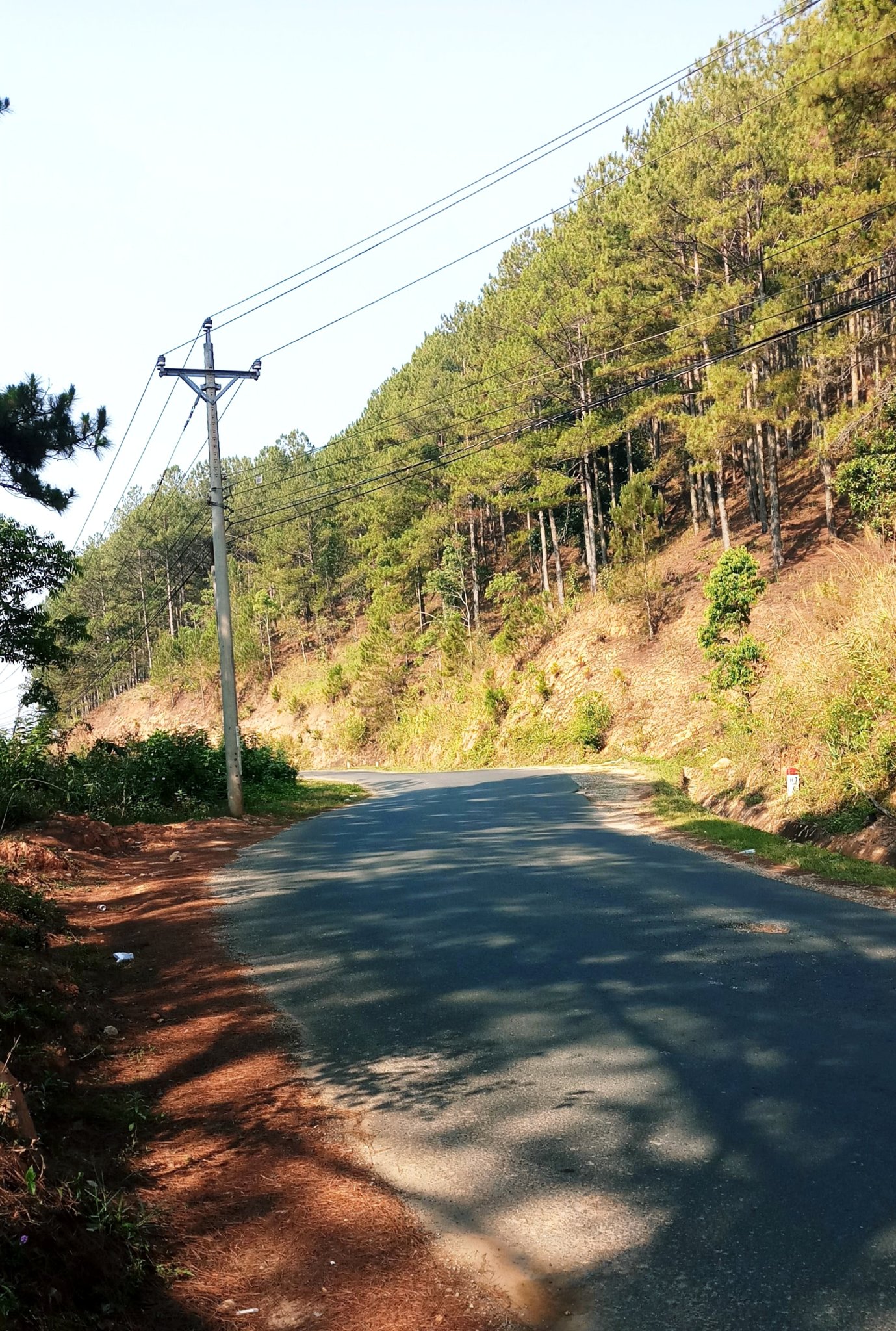 20181129_172739.jpg