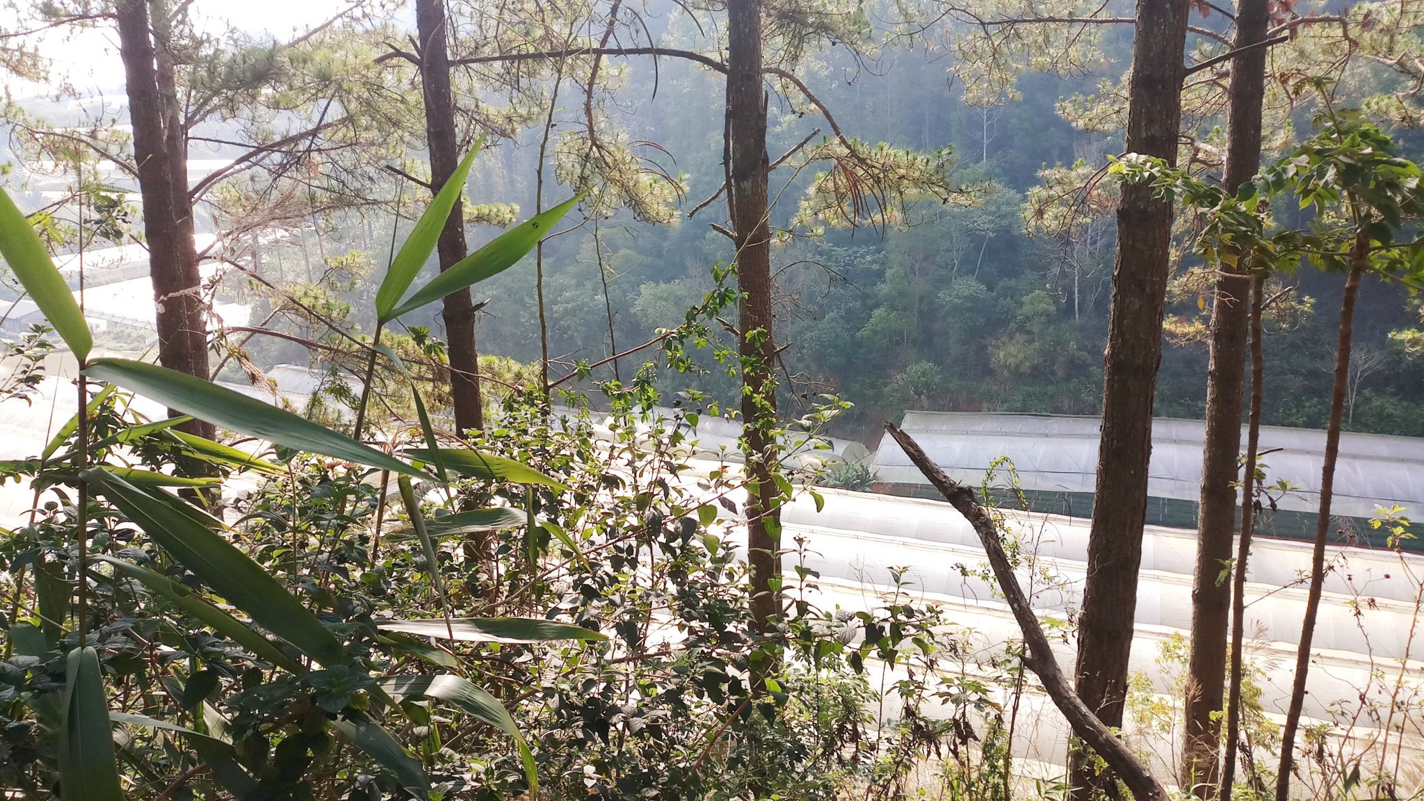 20181129_172928.jpg