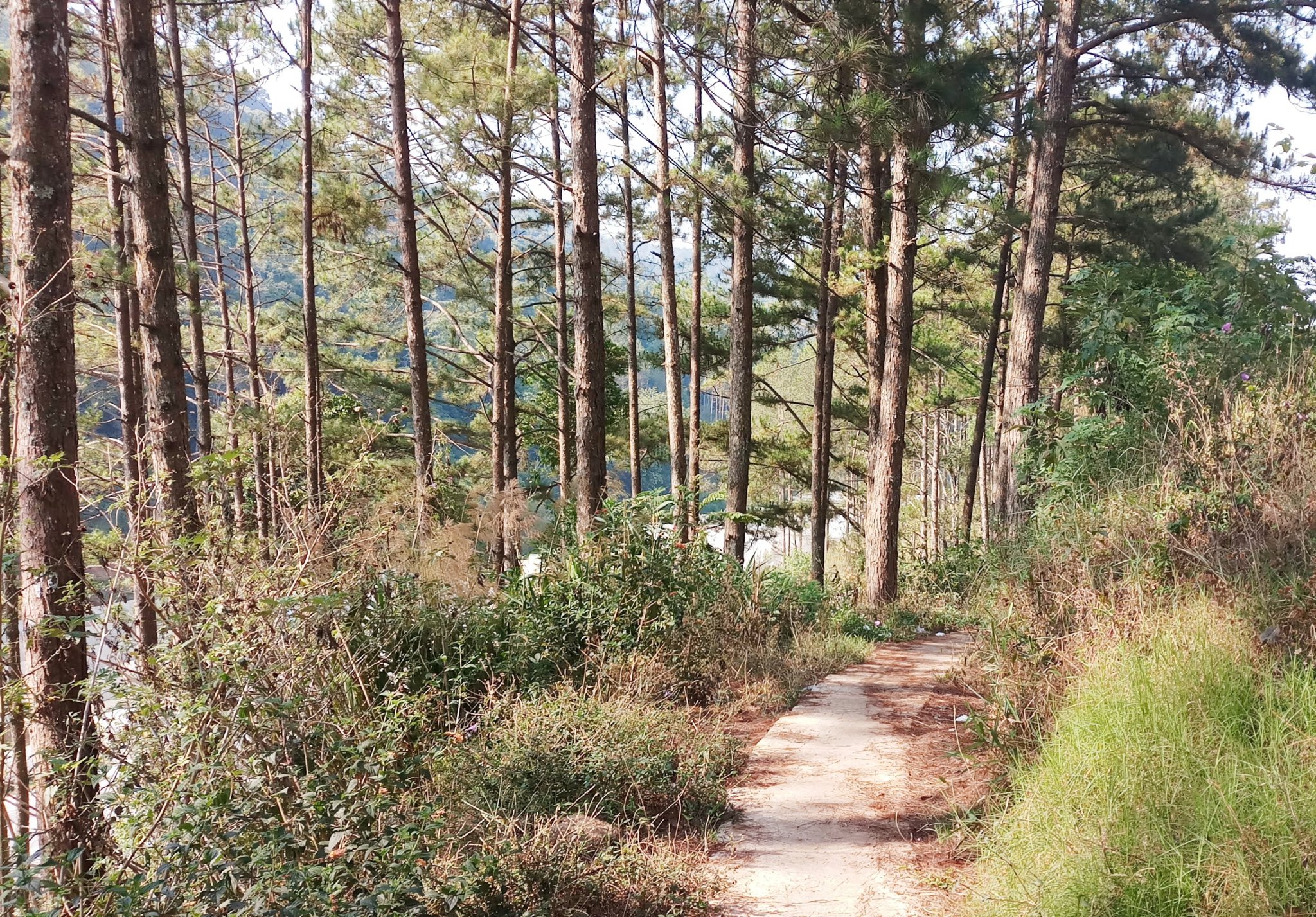 20181129_173033.jpg