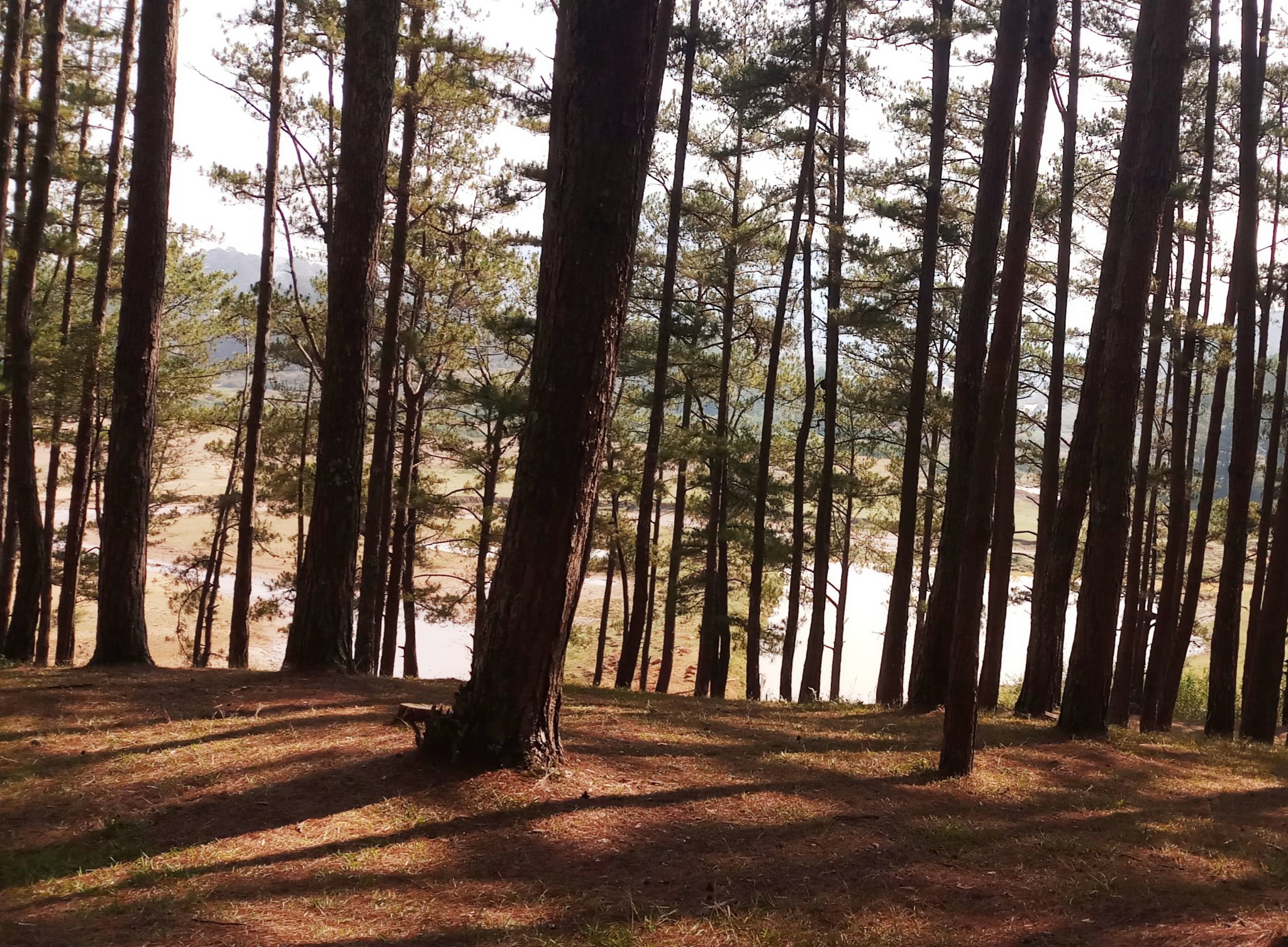 20181203_215351.jpg
