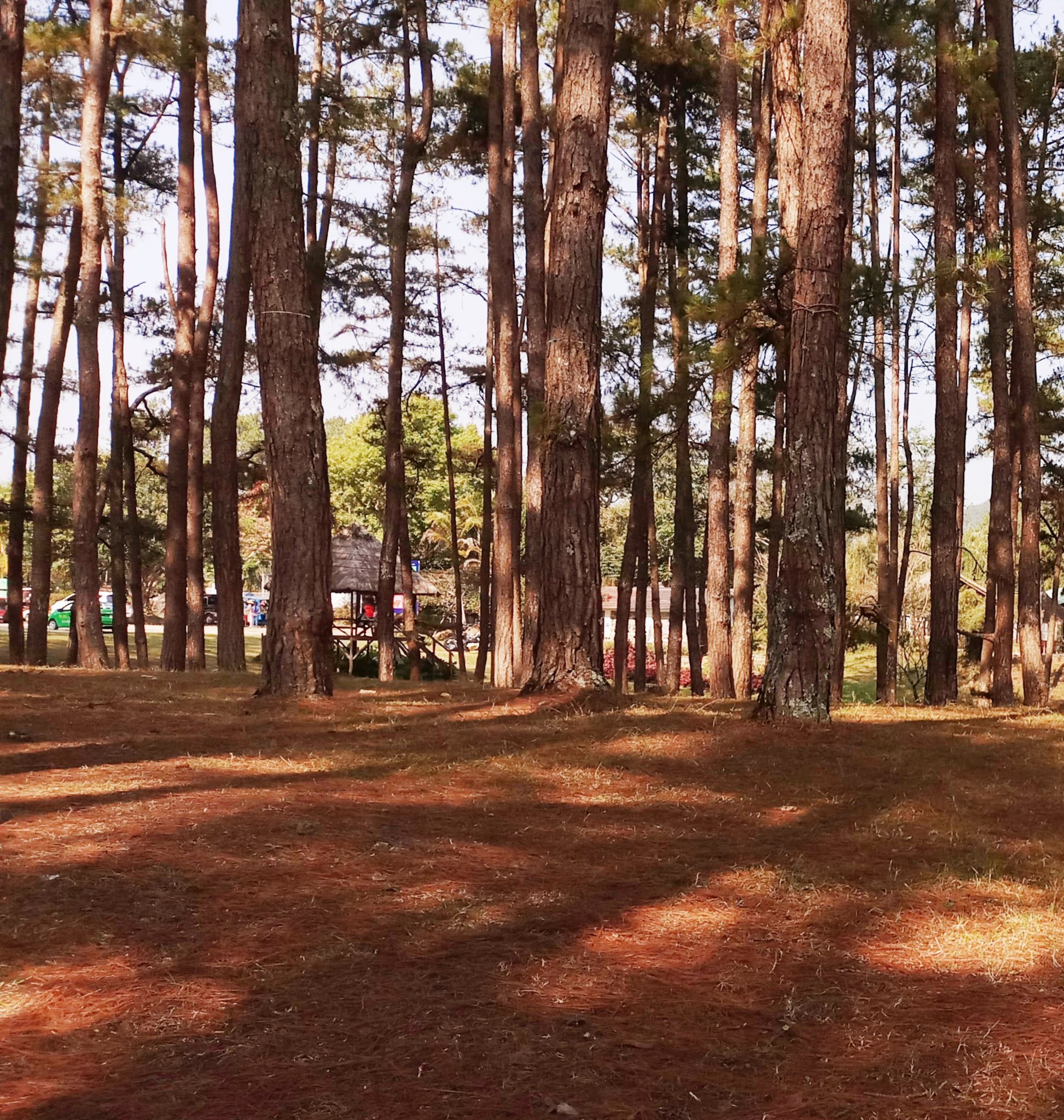20181203_215525.jpg