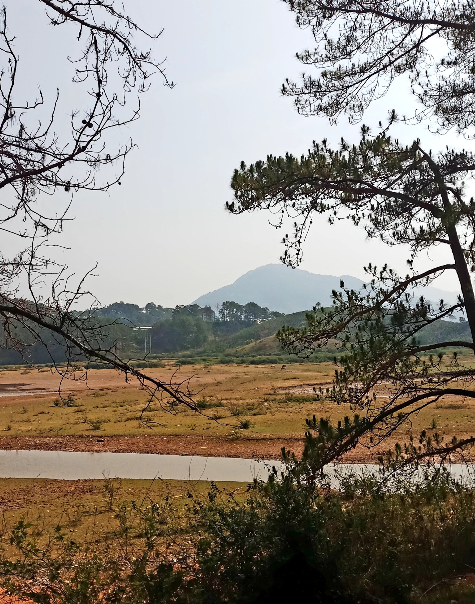 20181204_193729.jpg