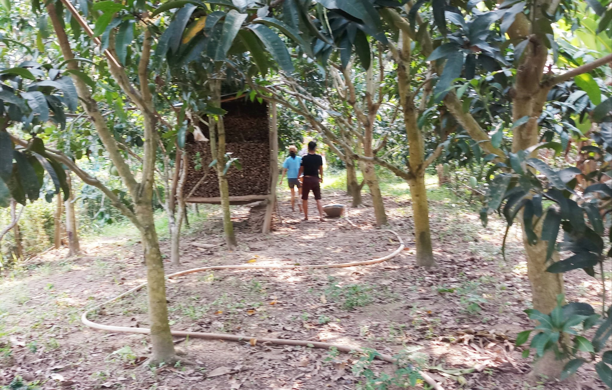 20181216_233347.jpg
